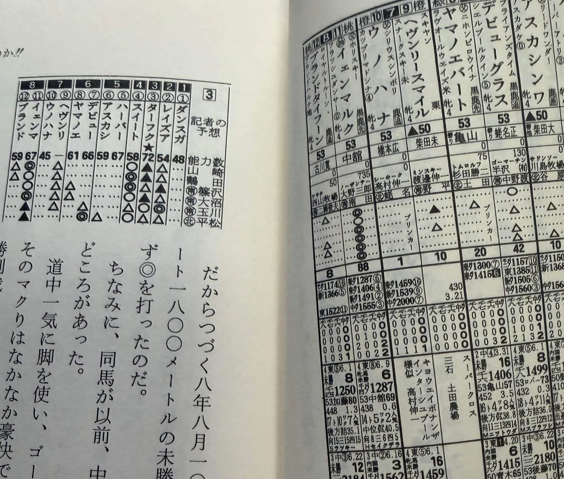 儲かって笑いのとまらない馬券術｜平松さとし