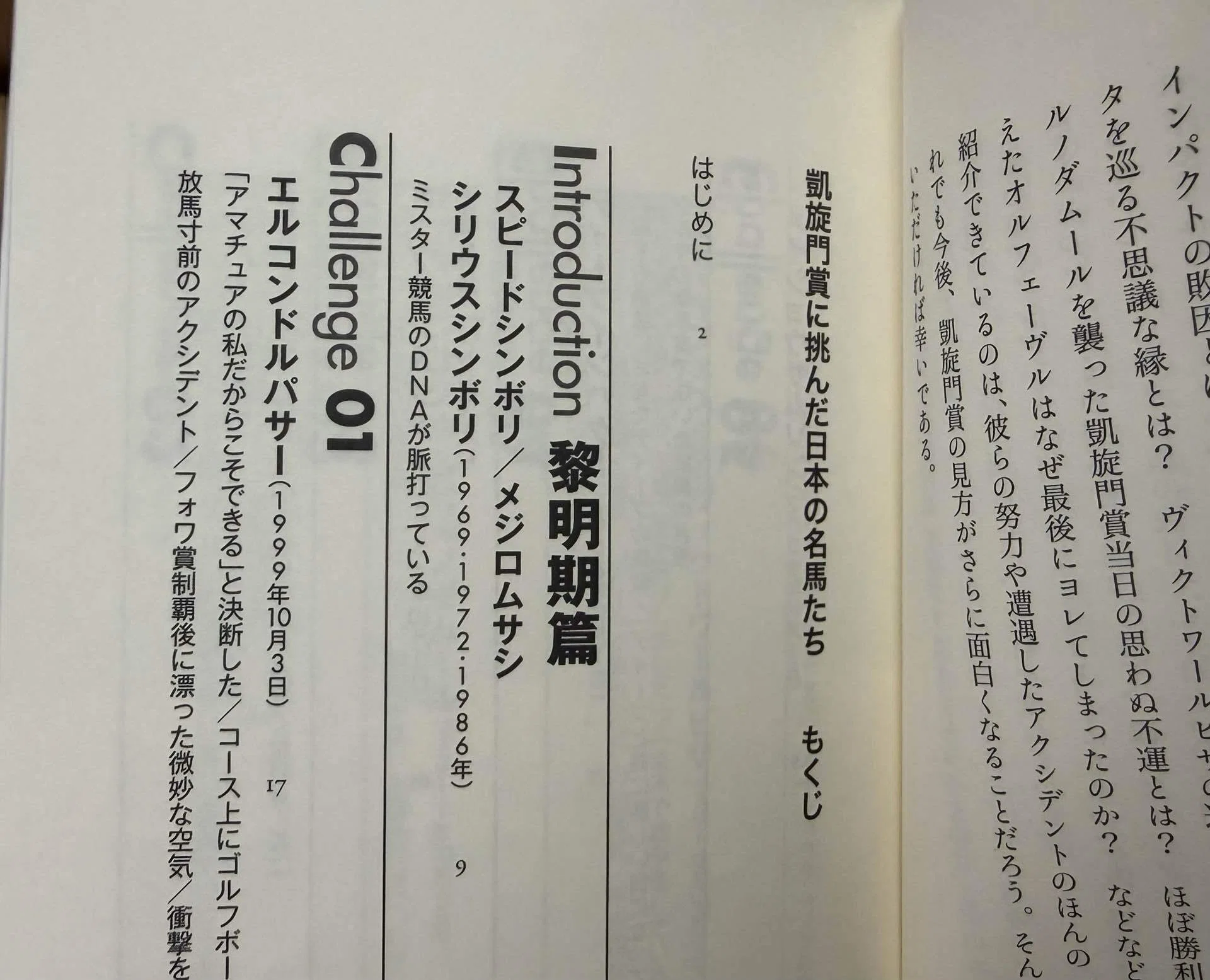 凱旋門賞に挑んだ日本の名馬たち｜平松さとし