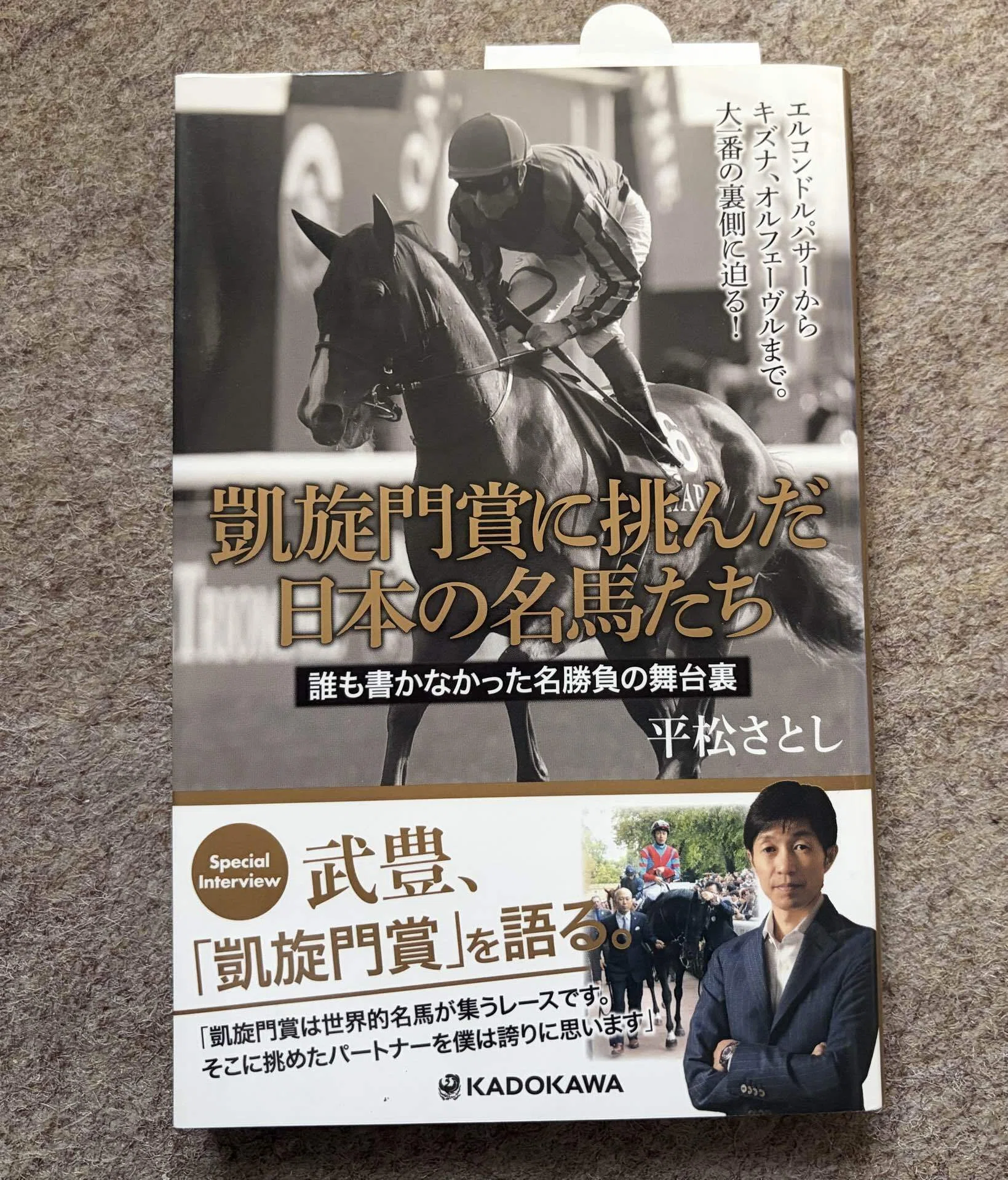 凱旋門賞に挑んだ日本の名馬たち｜平松さとし