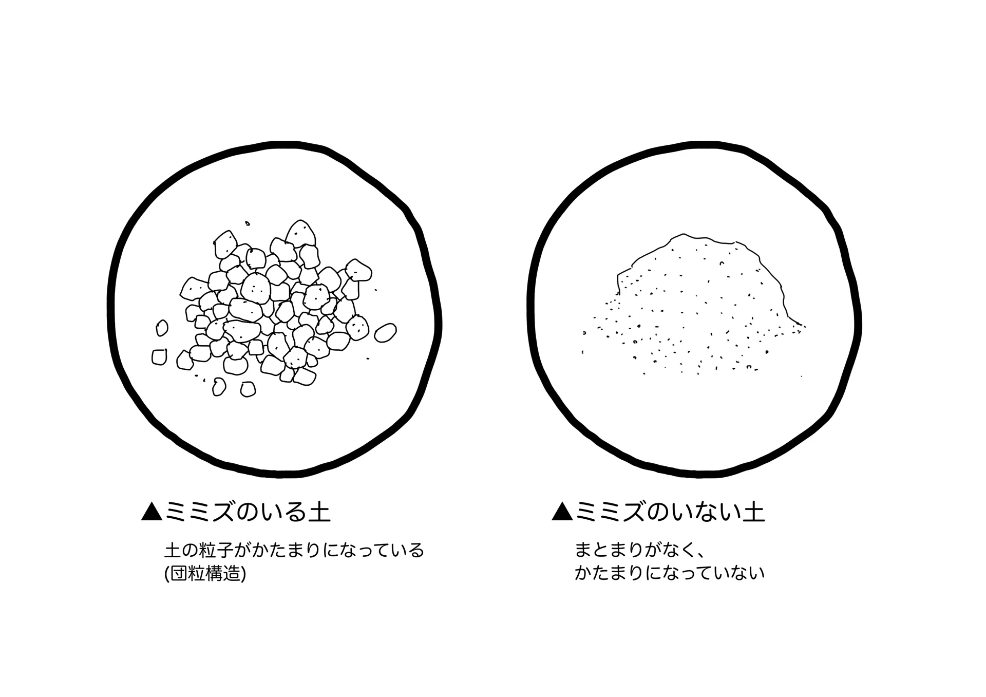 ミミズって何のために生きているんすかね。——知れば知るほど、なくては