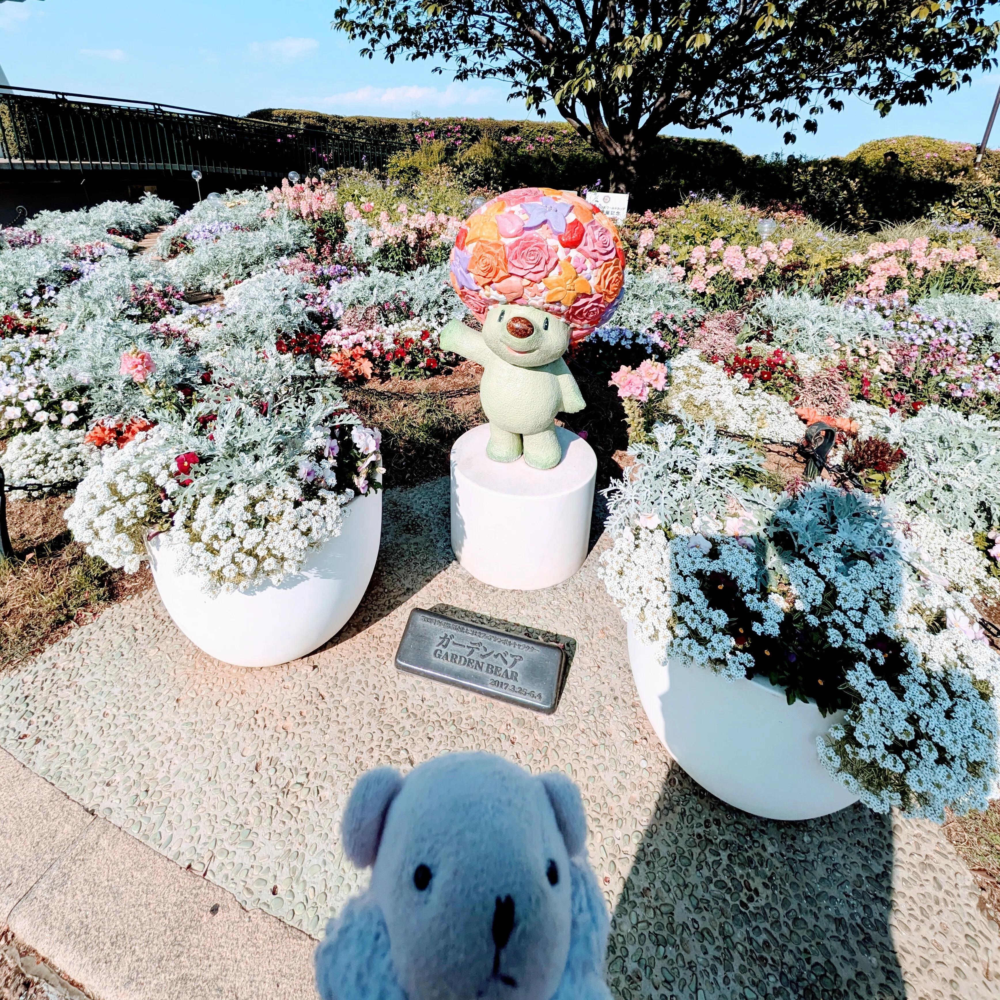 横浜写んぽ】大佛次郎記念館で触れる、あたたかな猫愛の記憶｜さやかと