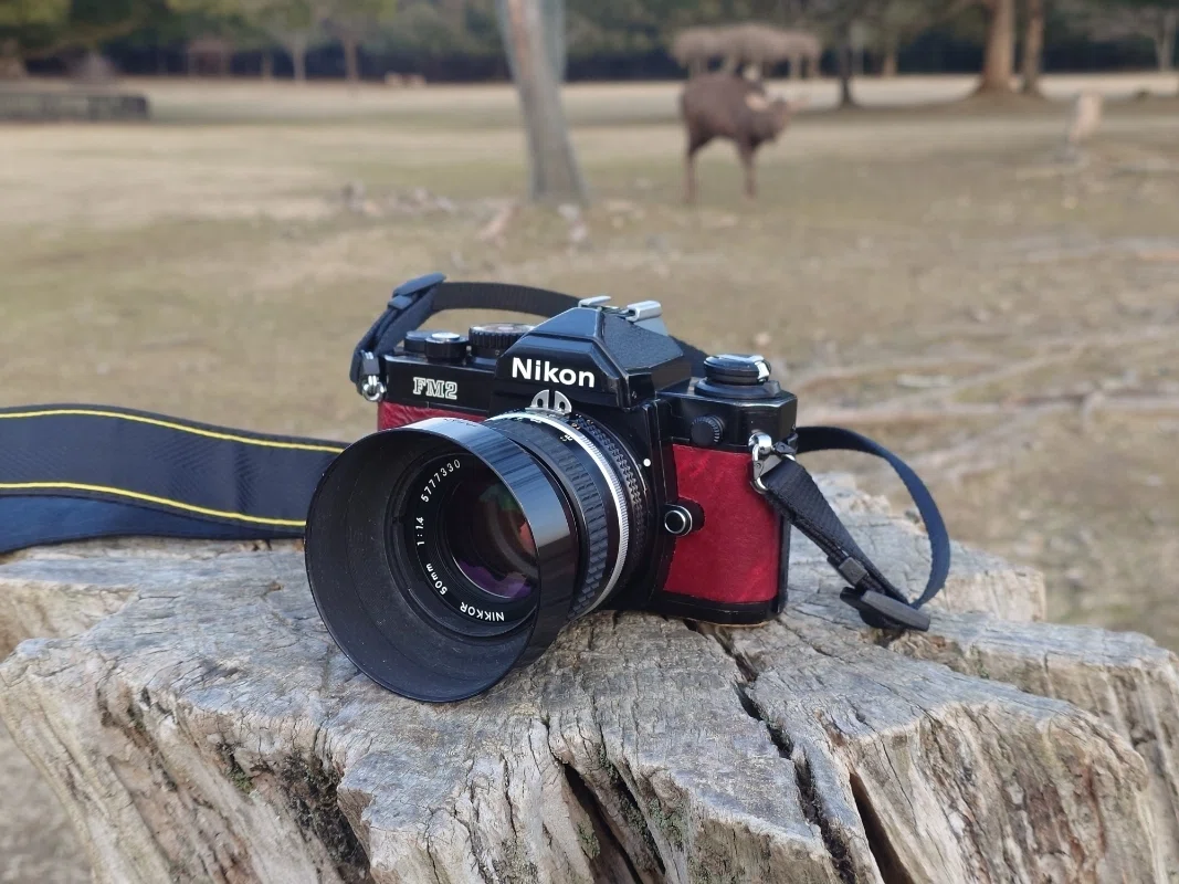 カメラをオーバーホールと少しカスタム ⅼ NikonFM2｜あなでじ