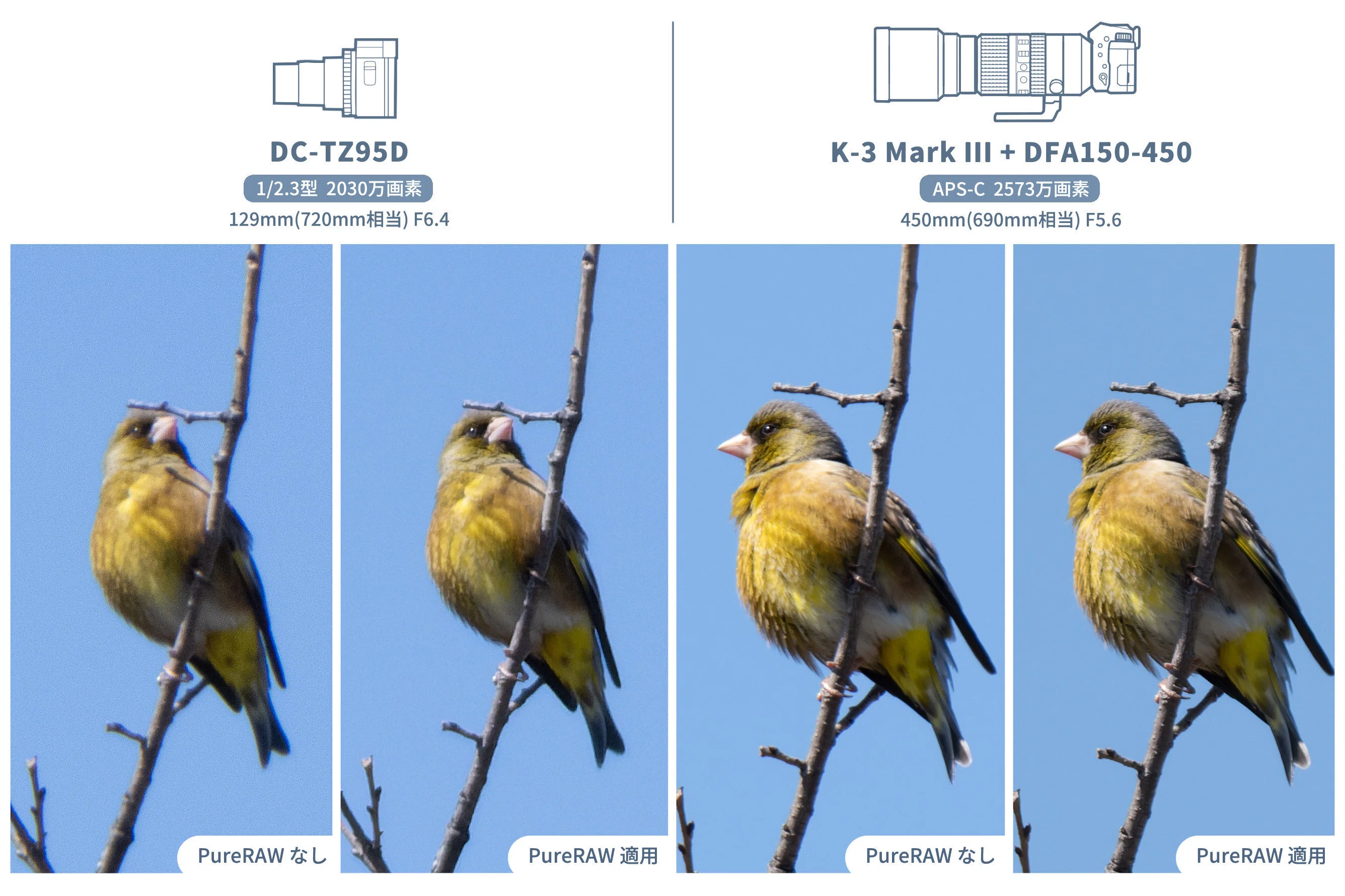 薄型コンデジで野鳥撮影してみる。 LUMIX DC-TZ95D｜がま