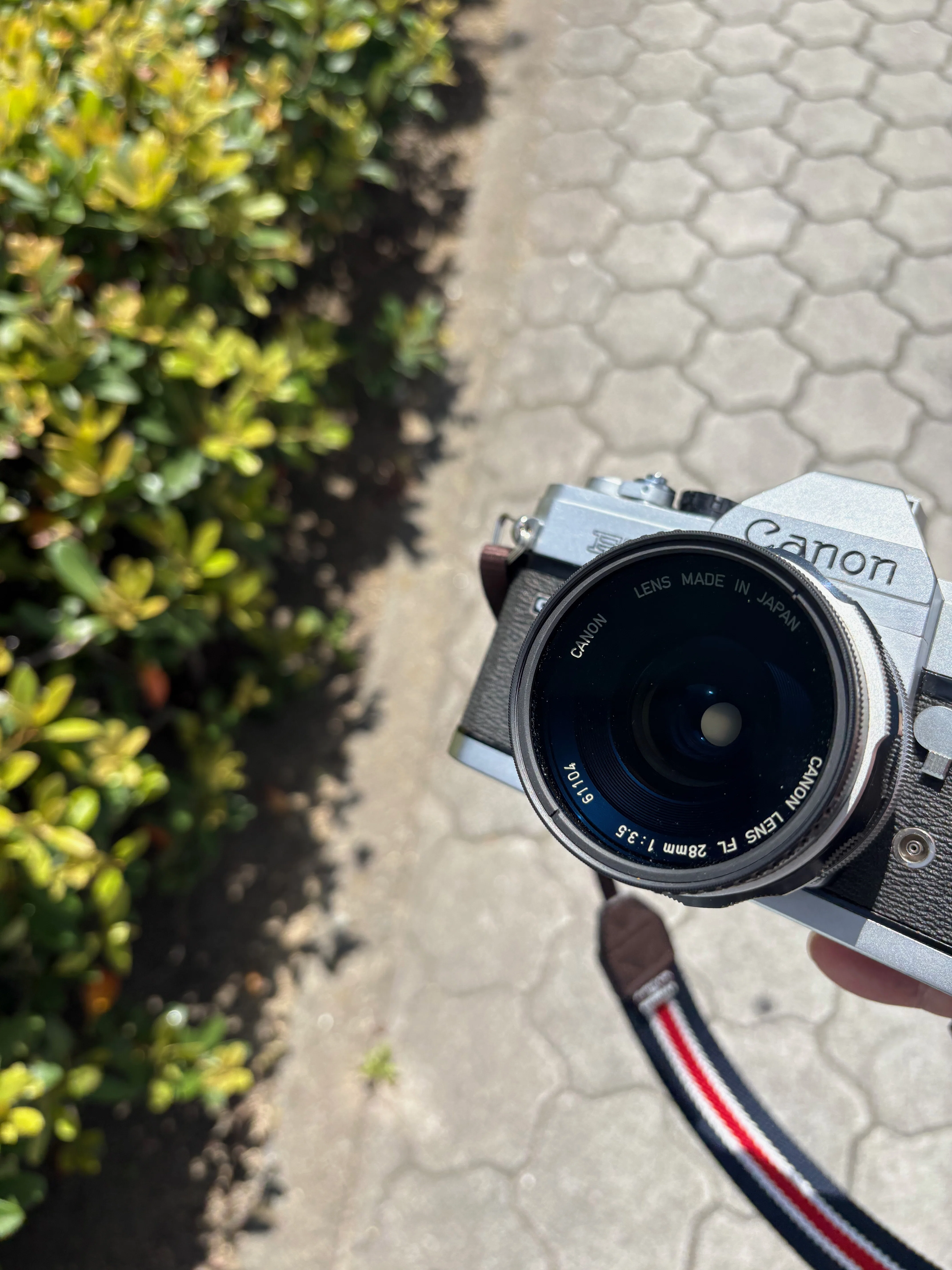 とりあえず撮っとく？」を、改めて考えさせられたフィルムカメラの威力