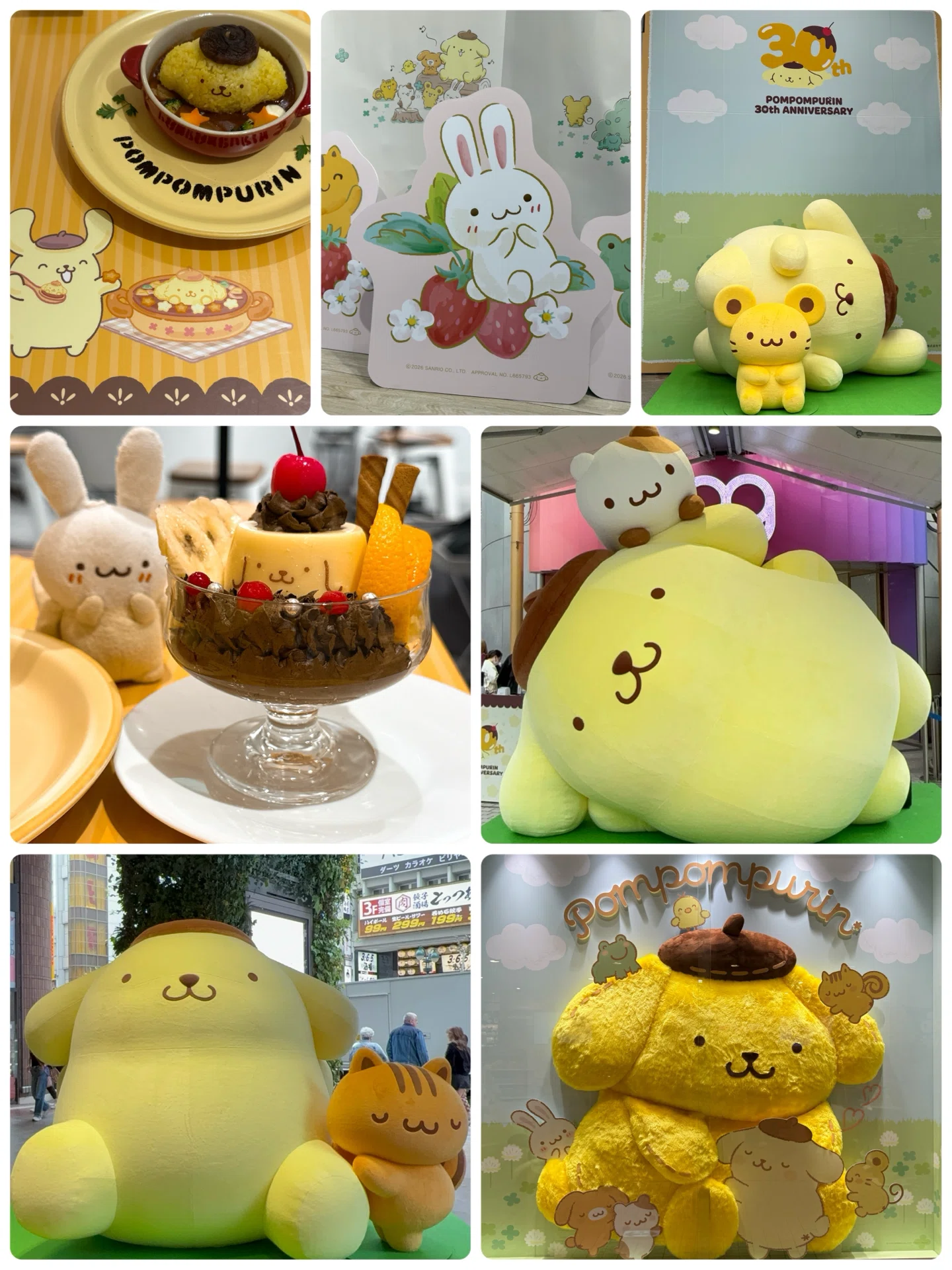 1泊2日、往復夜行バス移動で、ポムポムプリンのお誕生日をお祝いしてき