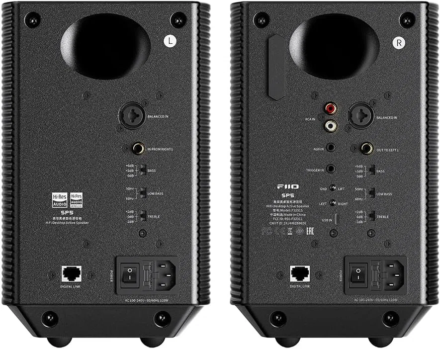 FIIO SP5 Black FIO-SP5-B【日本正規店より発送・シリアルナンバー付