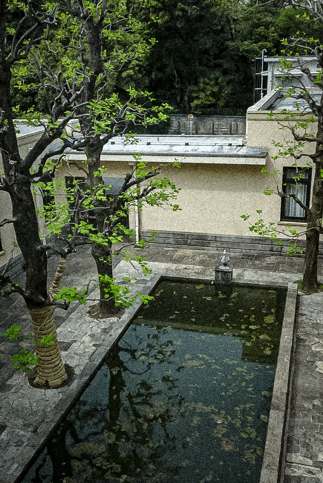 東京観光 庭編｜みー