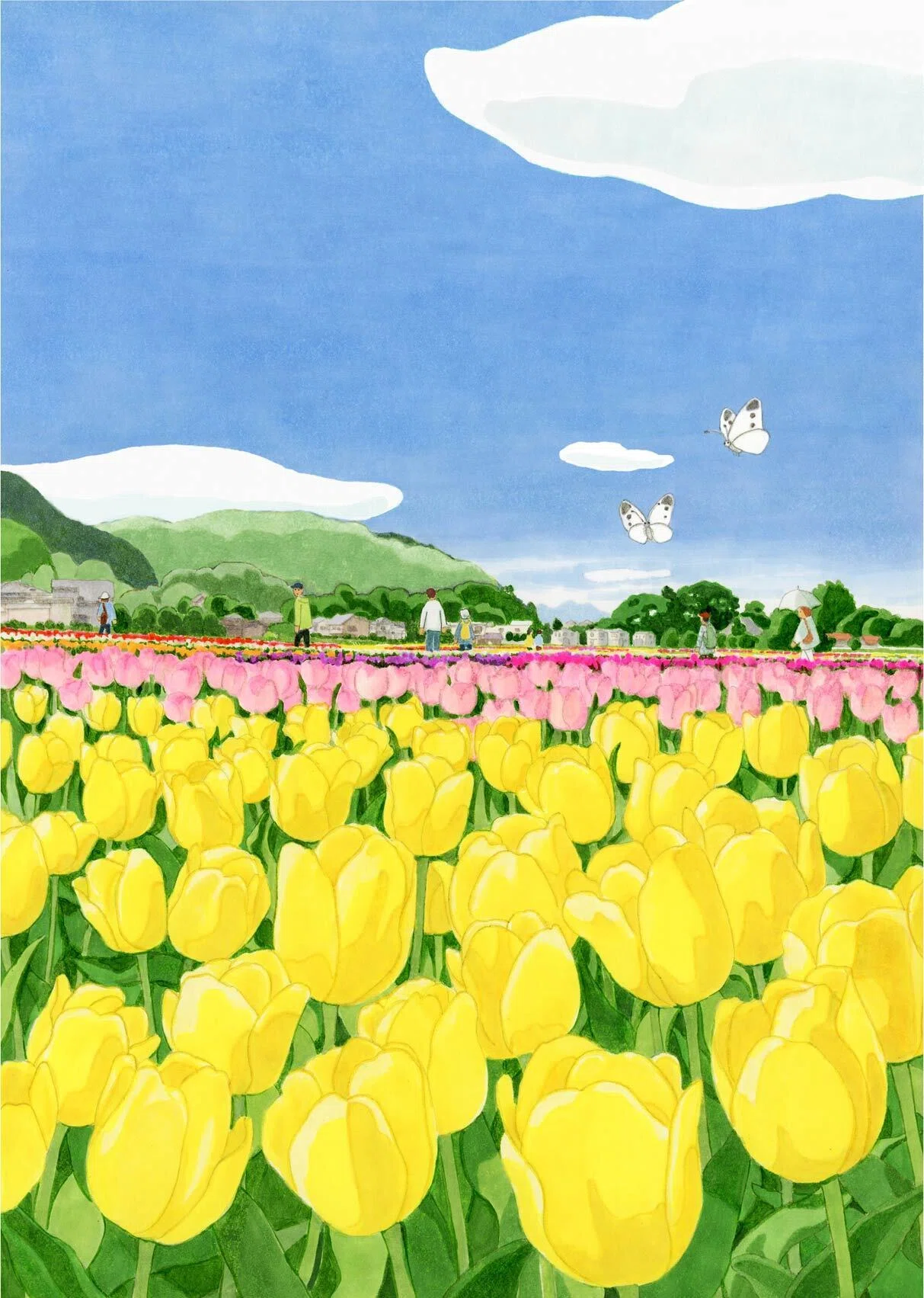 DEKAT（デカット）、チューリップ、水仙、果物、希少な額装用大判画集画 根がらみ前水田のチューリップ｜おかドド＠イラストレーター