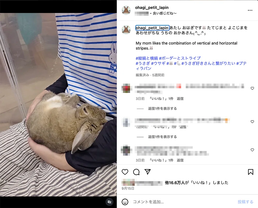 即日満席】おばぁが司会する！？…プティラパンさんで開催する「うさぎ