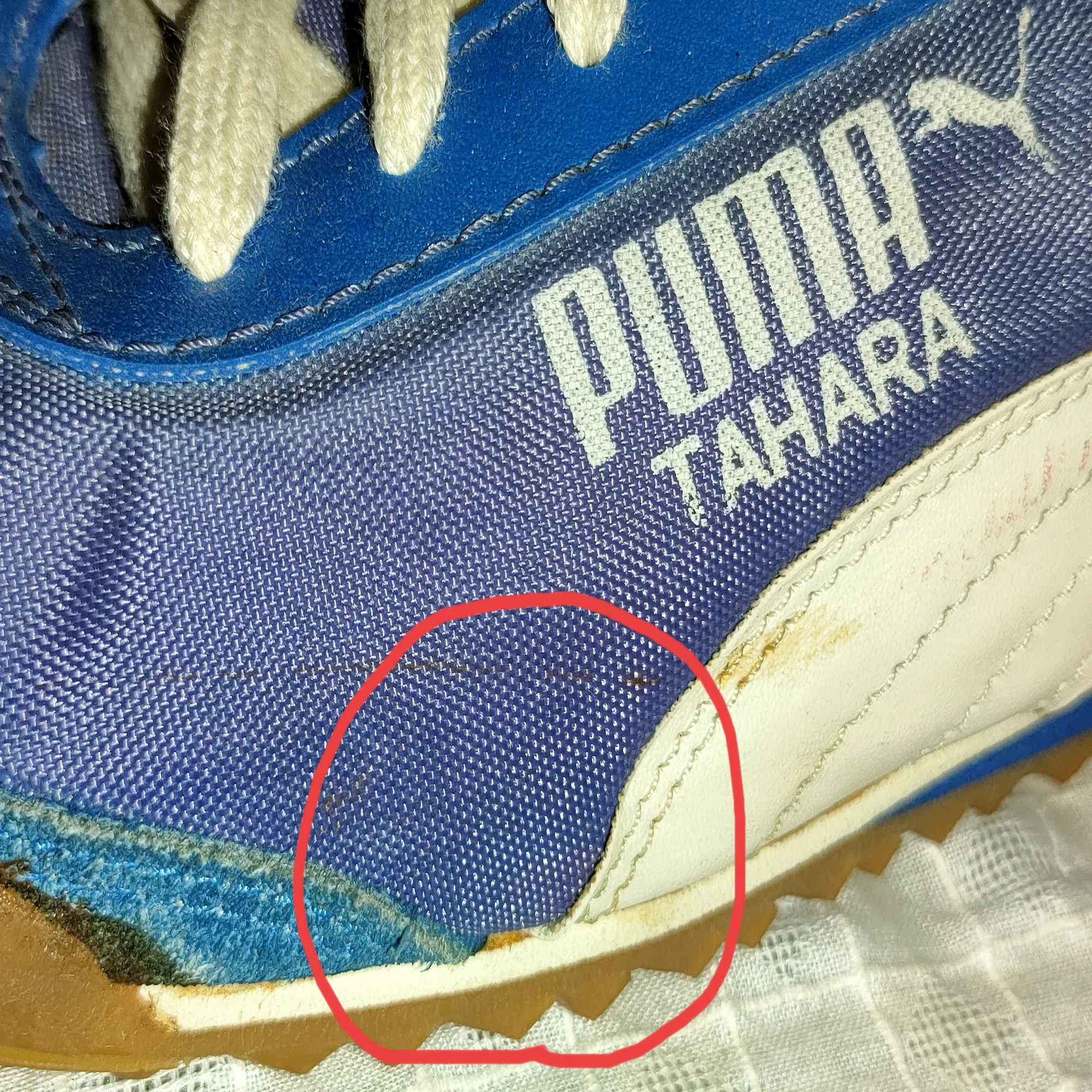 Puma