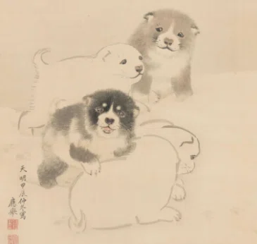 白い蘆雪犬は、もしかして紀州犬！？｜伊藤正宏