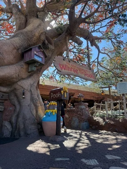 WDW Day5】マジックキングダム：グリーティング＆アトラクション三昧の
