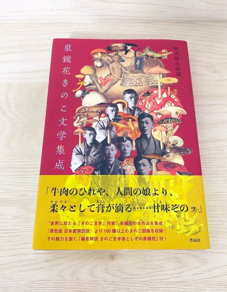 読書】泉鏡花きのこ文学集成🍄🍄‍🟫｜カメリア