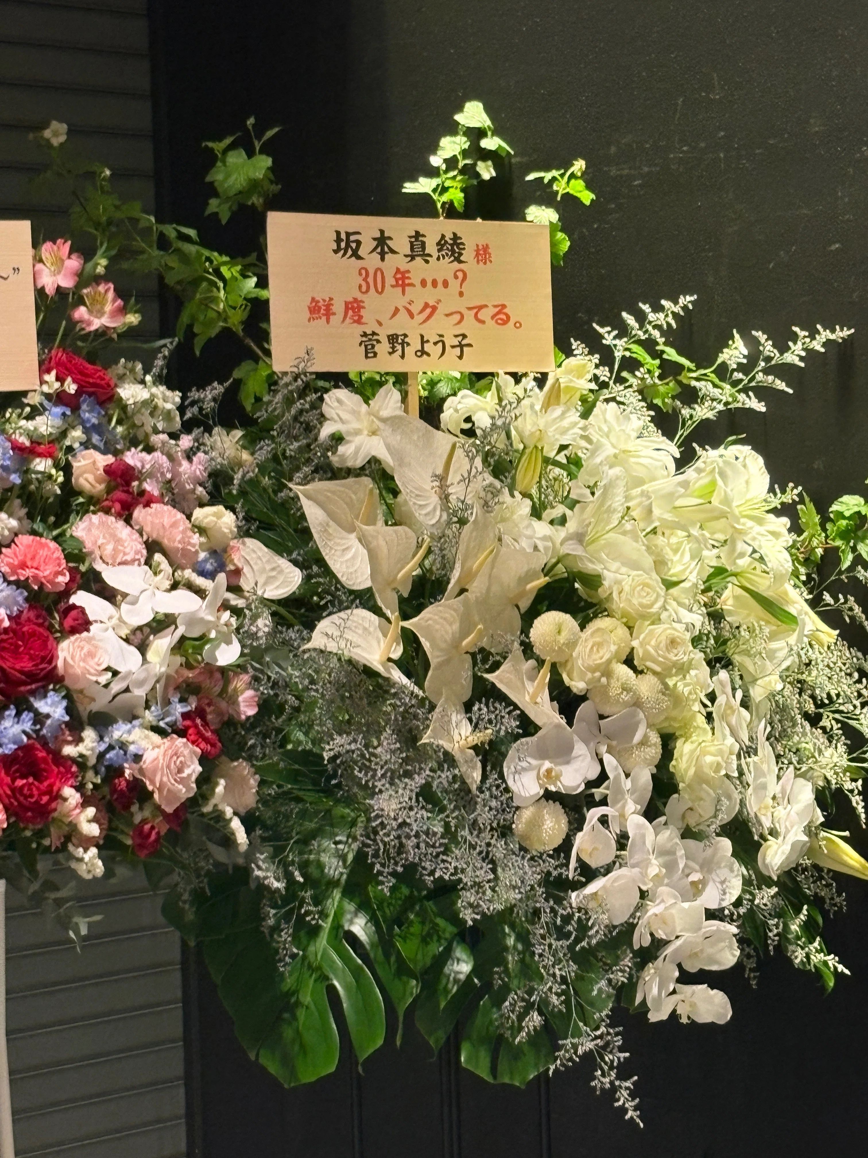 坂本真綾 30周年記念SPECIAL LIVE 