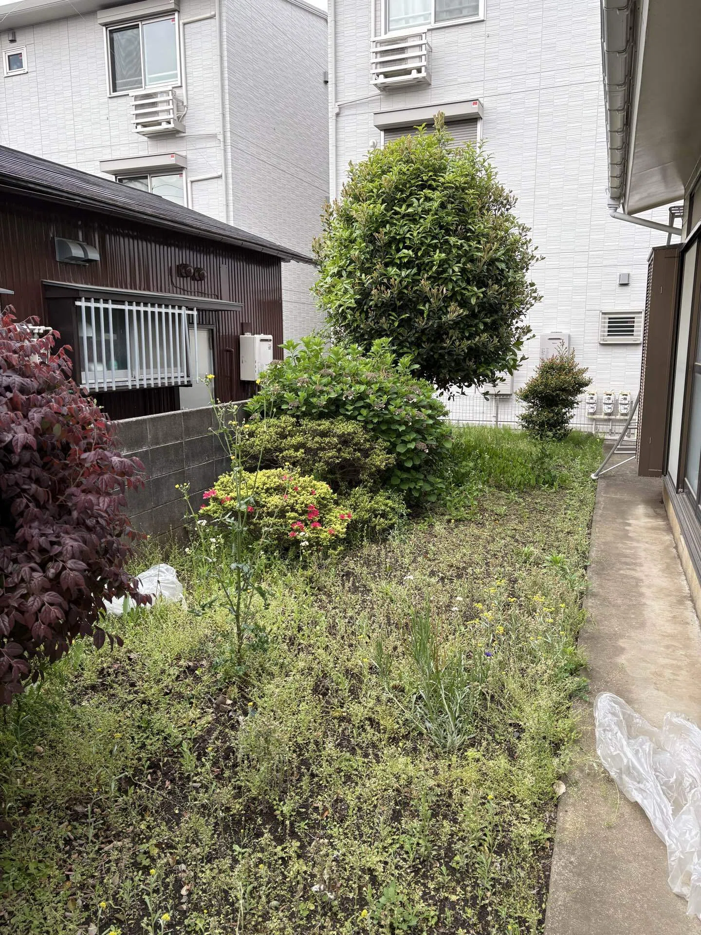 お庭の草刈りに 春の雑草対策はお早めに！伸び始めた草をスッキリ草刈りで美しいお庭へ