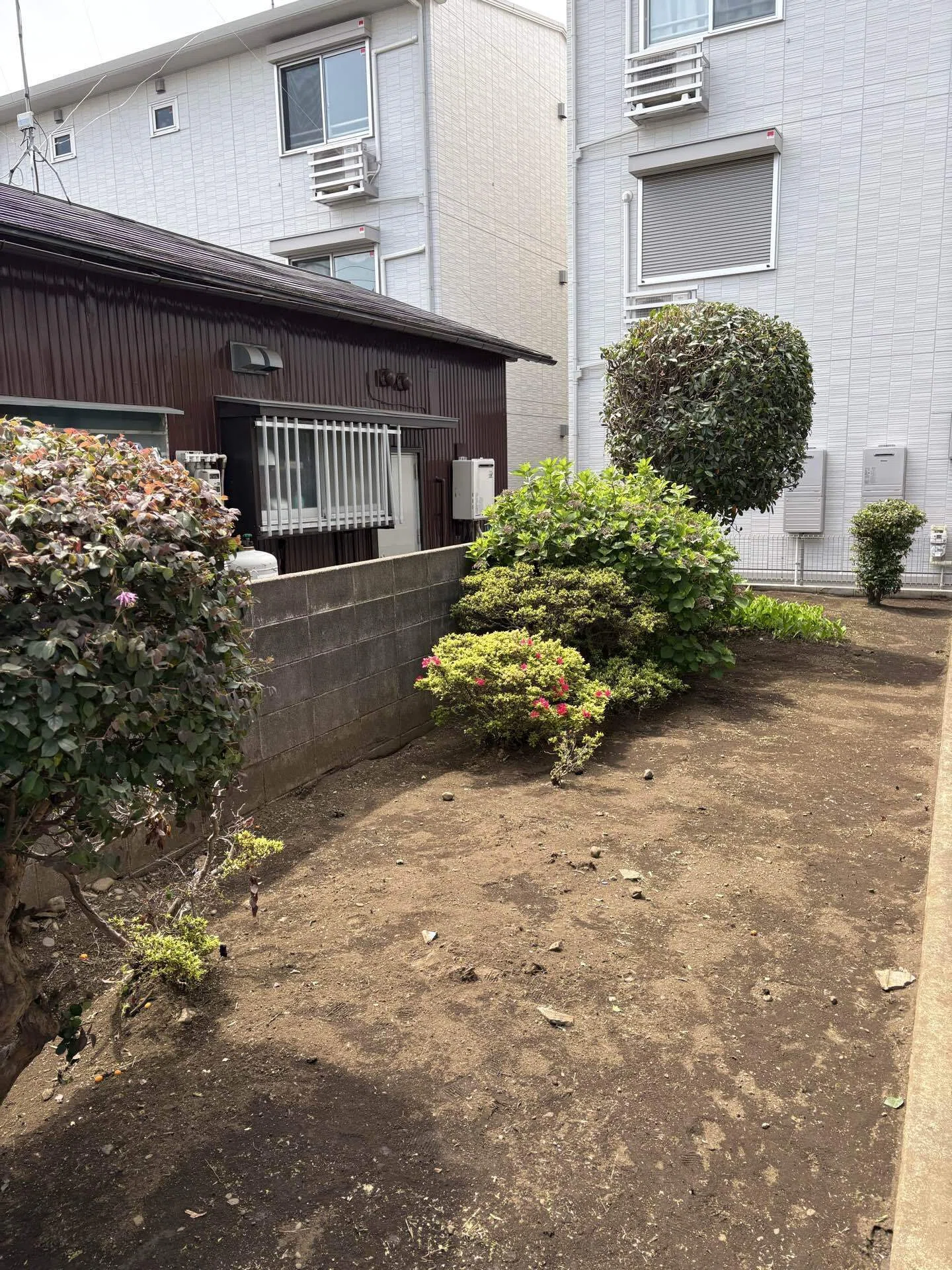 春の雑草対策はお早めに！伸び始めた草をスッキリ草刈りで美しいお庭へ
