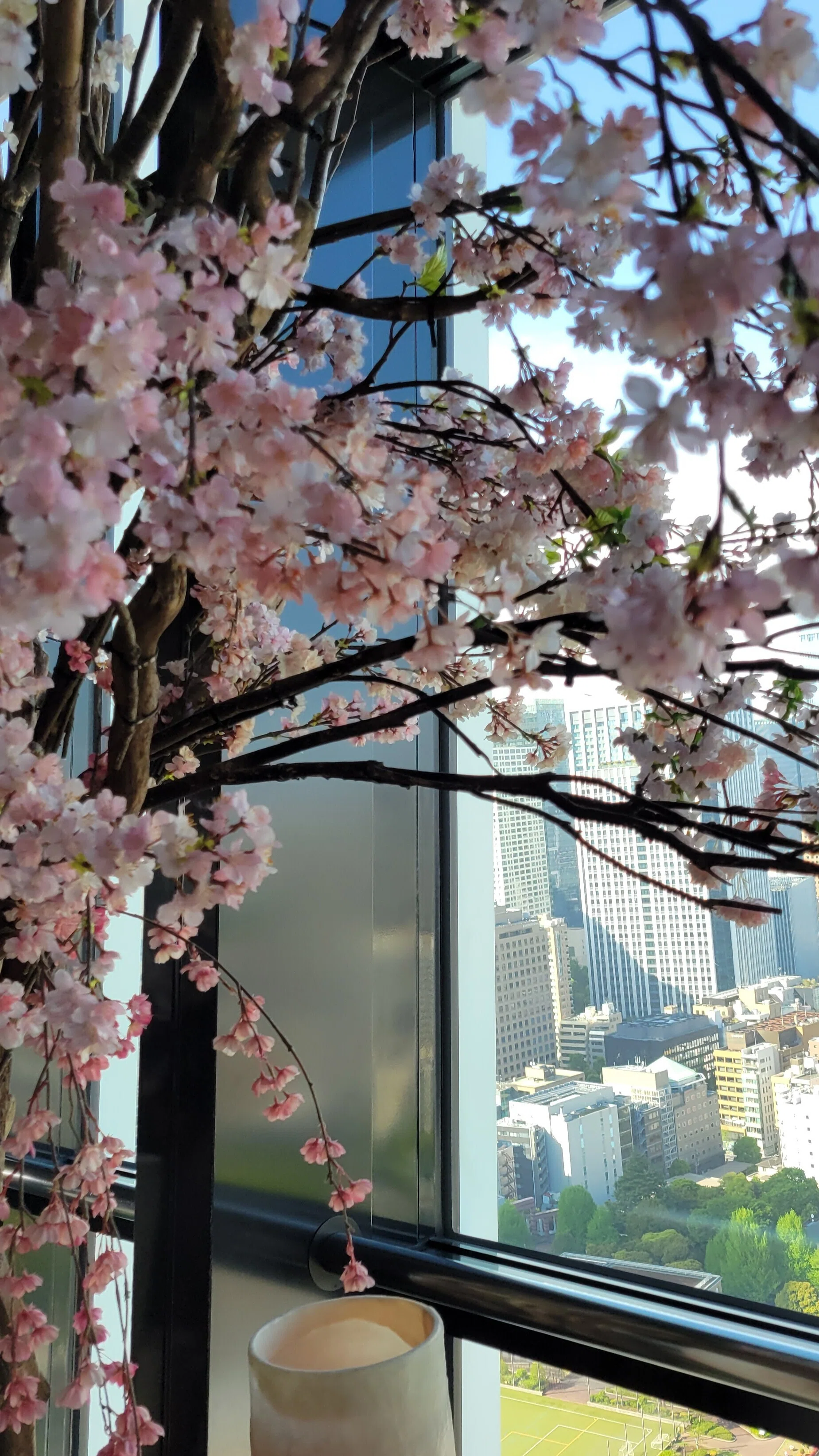 ネタバレなし】葉桜の候、コラボカフェと東京タワーコラボを巡るべ