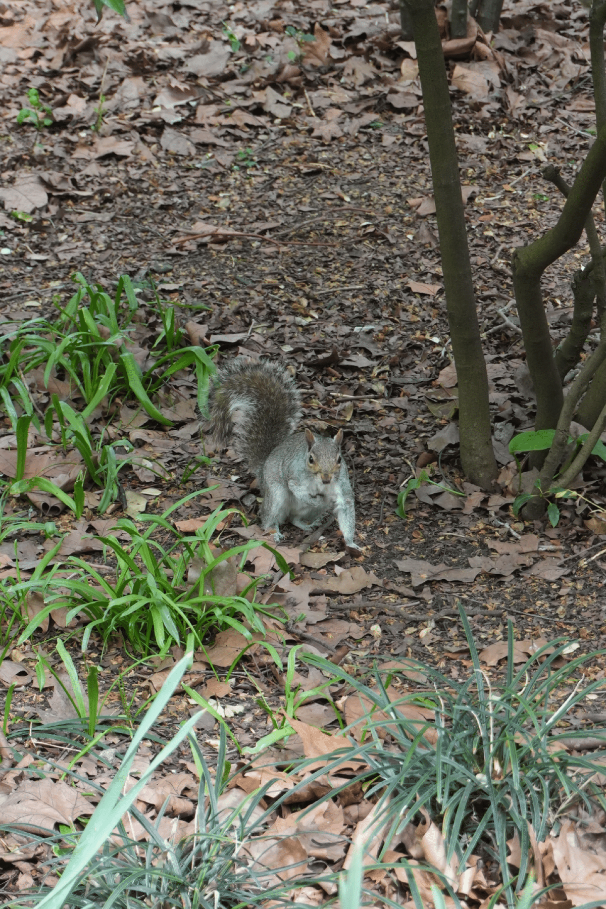 2ヶ月間ヨーロッパ周遊日記 #2｜ウナ