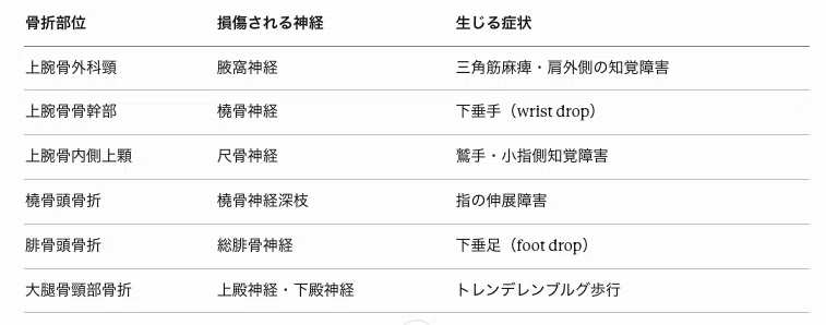 国試頻出の「骨折×神経損傷」パターン