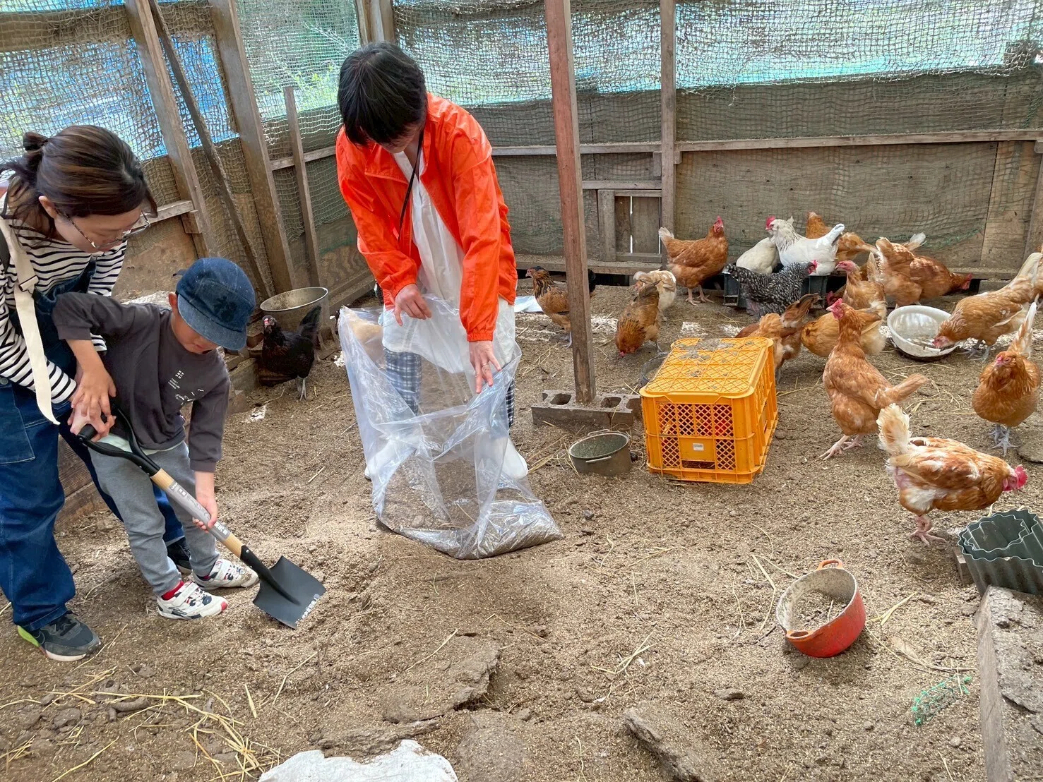 にわとりさん🐔も友だちです✨｜シェアリンク茨木