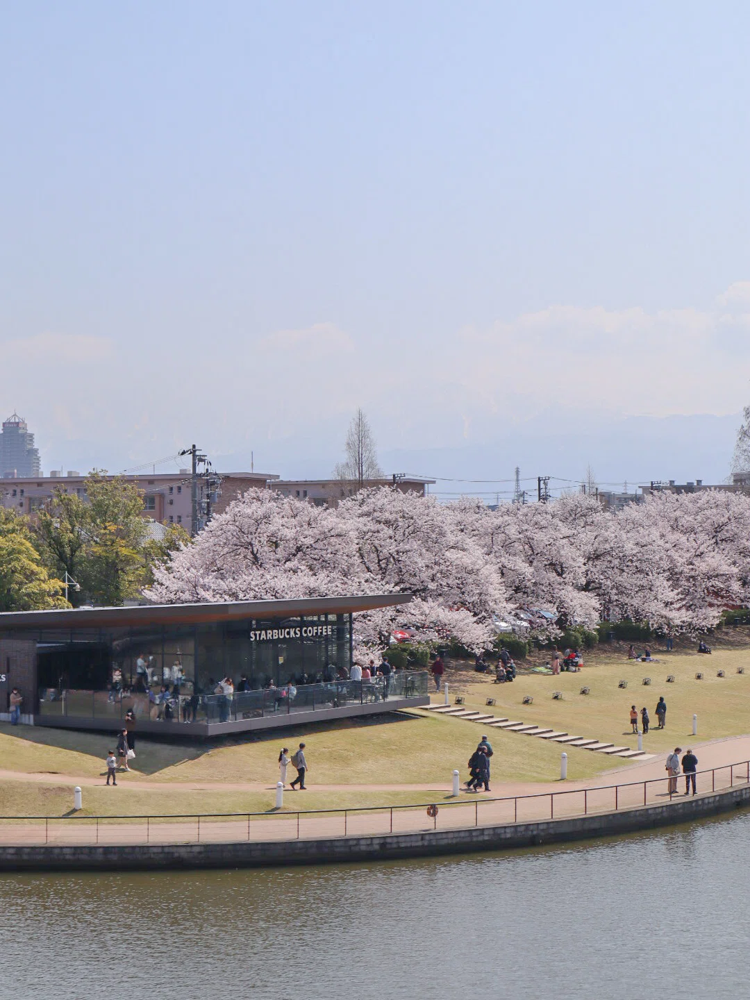 桜咲く春を探しに、富山へ。｜moe-cafe&trip