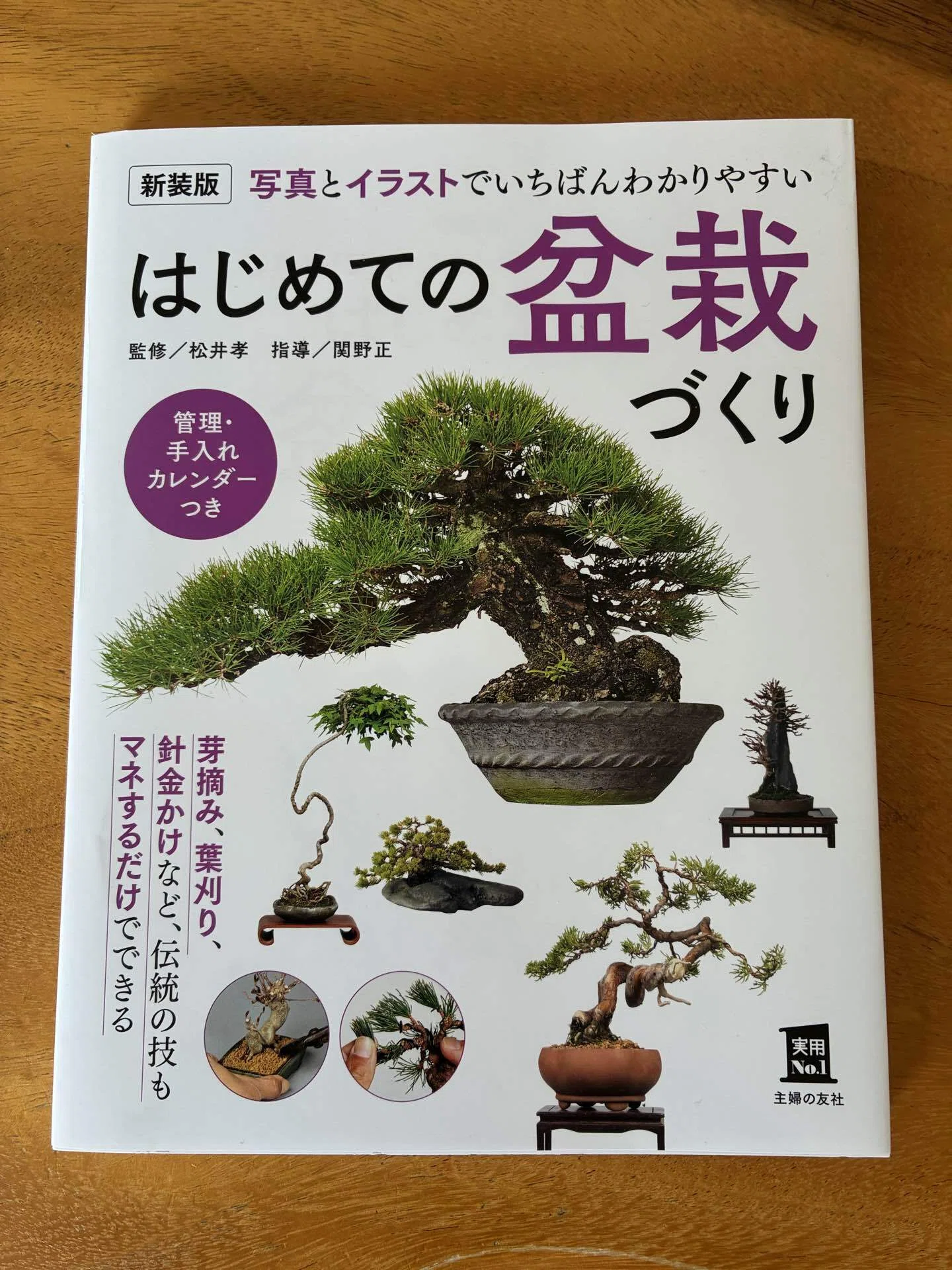 盆栽記 #03】独学の日々。一冊の本と動画から広がる、盆栽の基礎知識