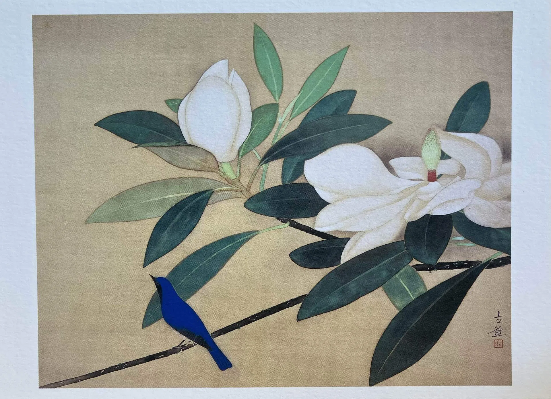 美術展】花・flower・華 2026/山種美術館（東京都渋谷区）｜らら