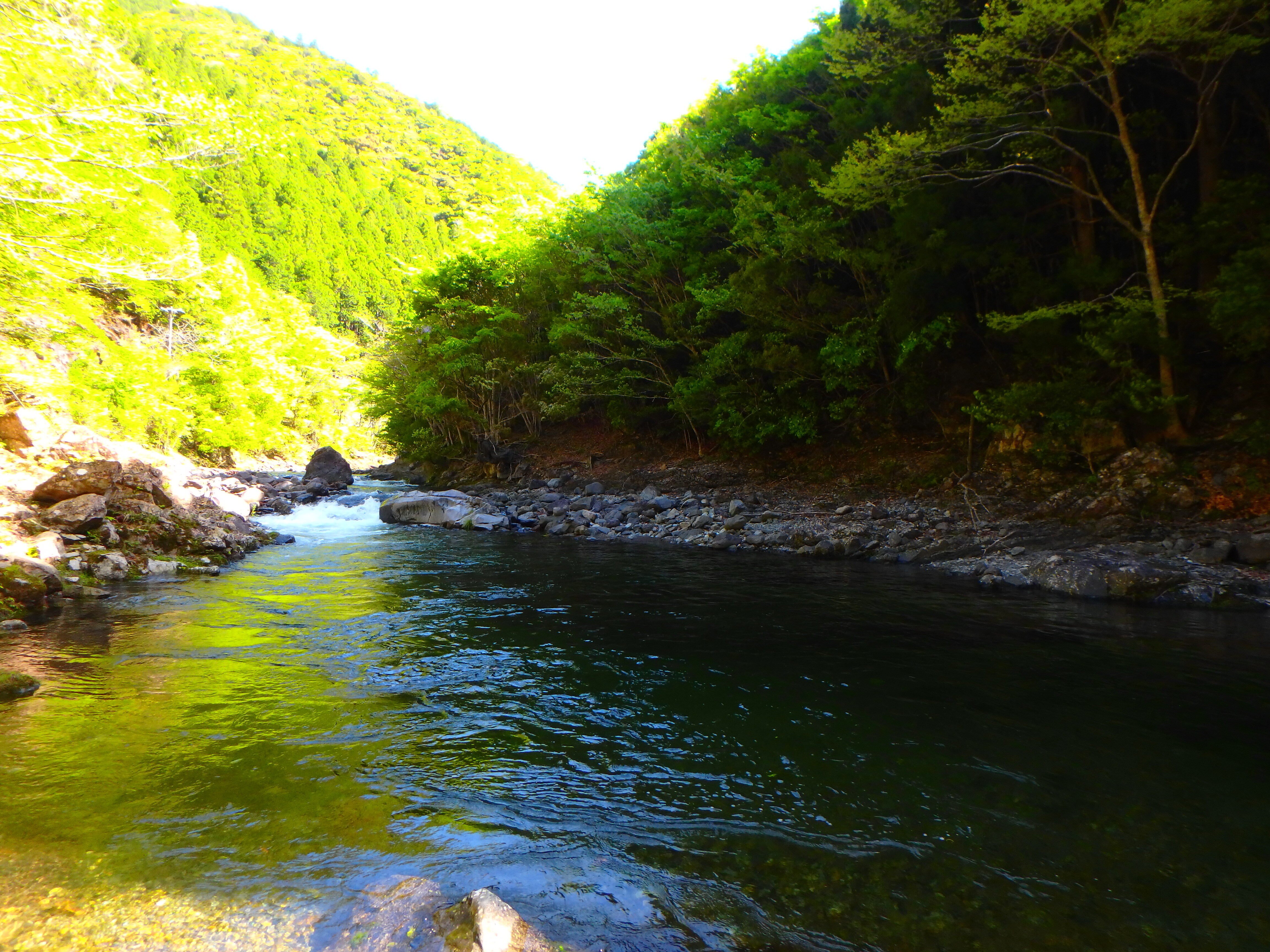 大台ヶ原山麓 吉野 北山川渓流釣行｜SW工房