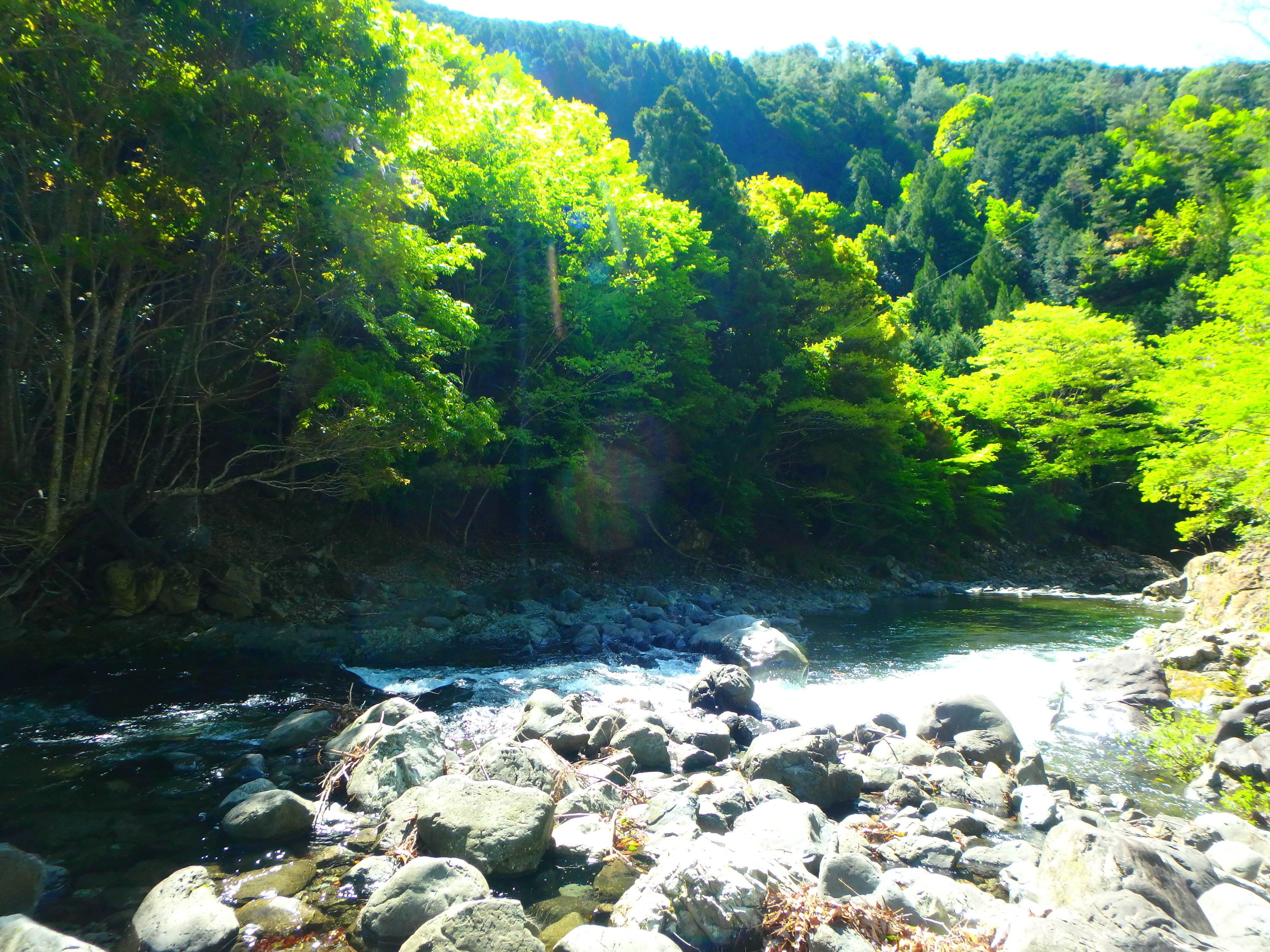 大台ヶ原山麓 吉野 北山川渓流釣行｜SW工房