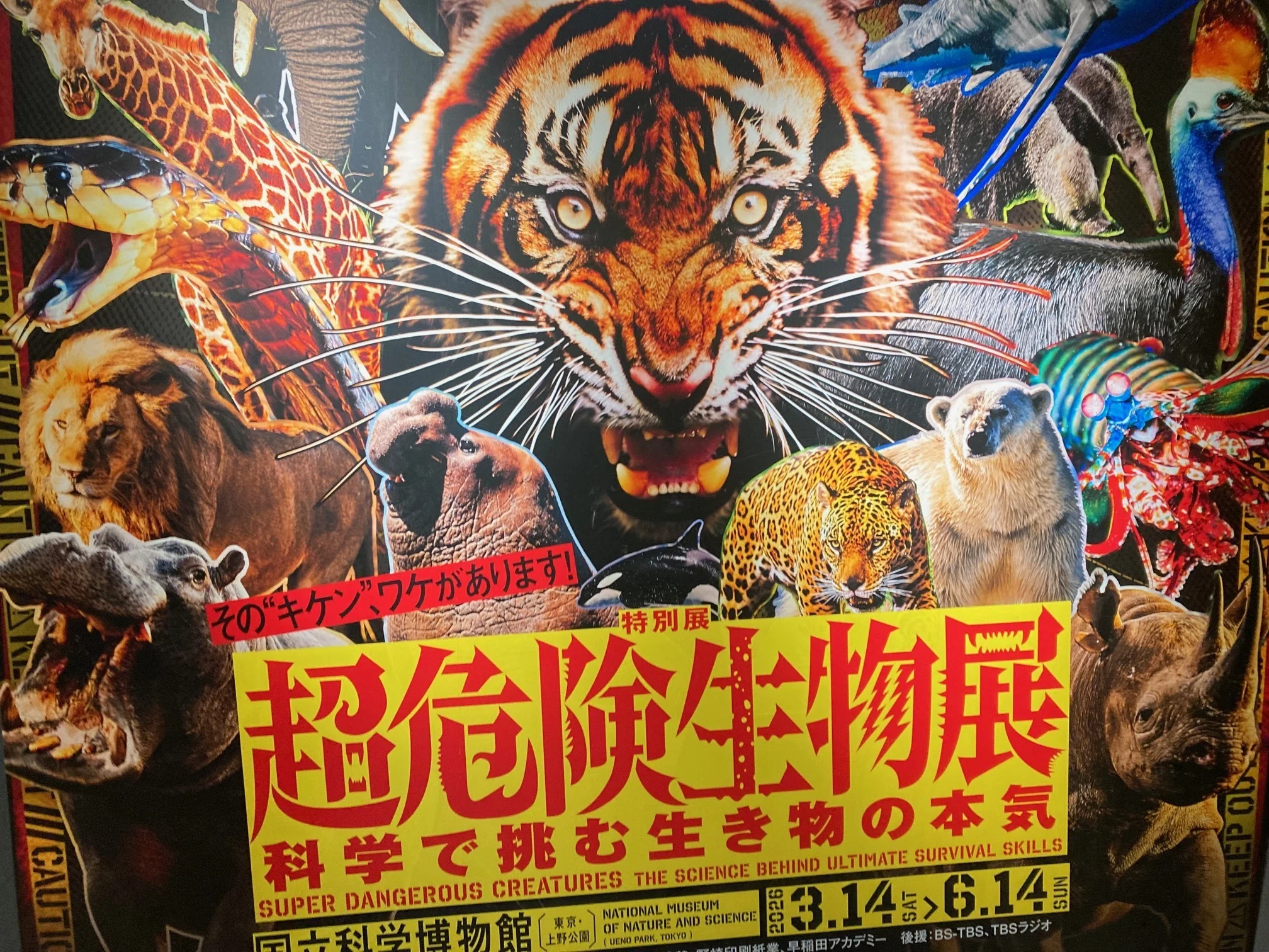 高校生物教員からみた科博「その”キケン”、ワケがあります！超危険生物