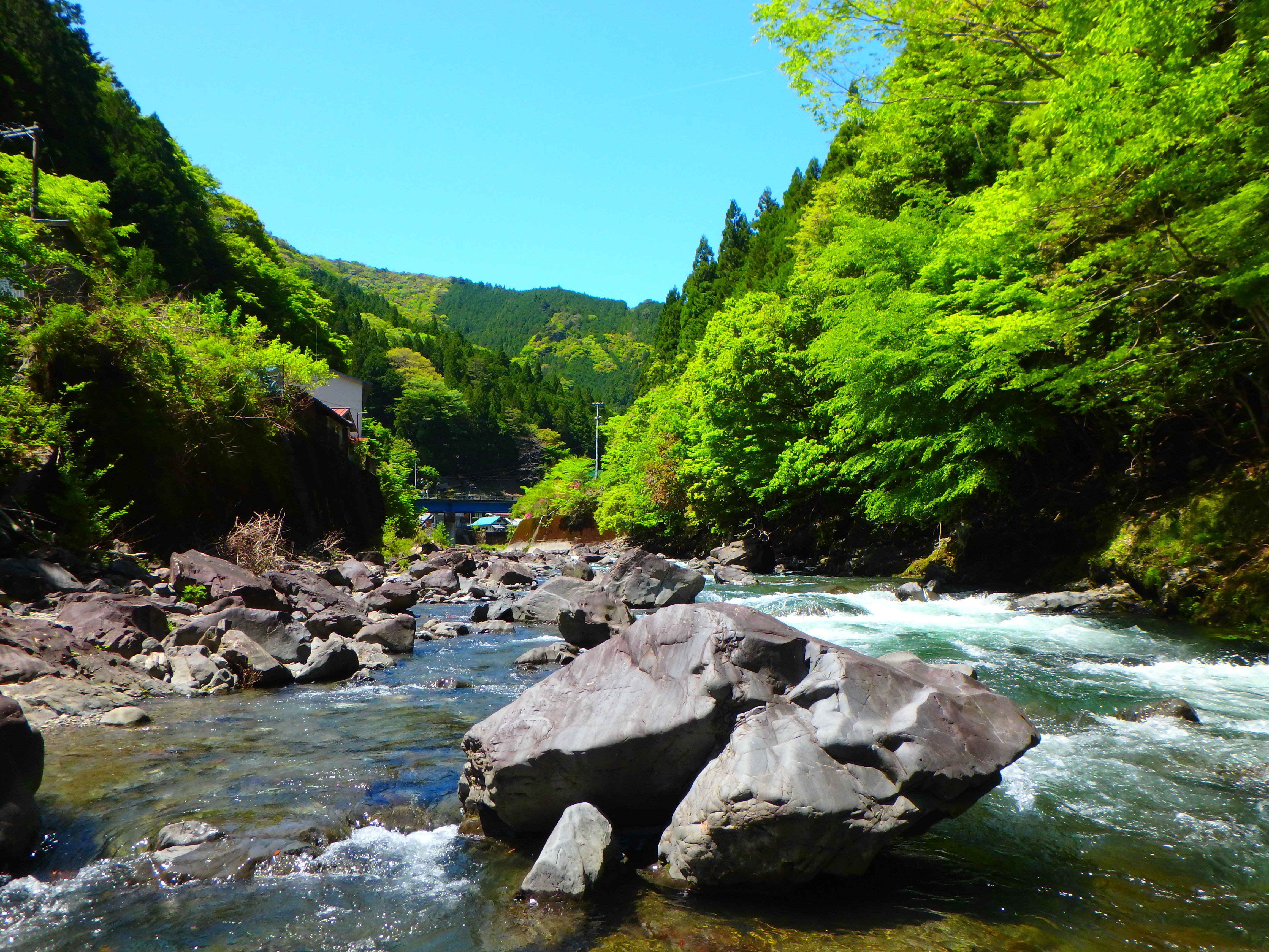 【真作】掛軸　渓流釣人図　静寂な山野のひととき　静謐な自然美　T29 大台ヶ原山麓 吉野 北山川渓流釣行｜SW工房