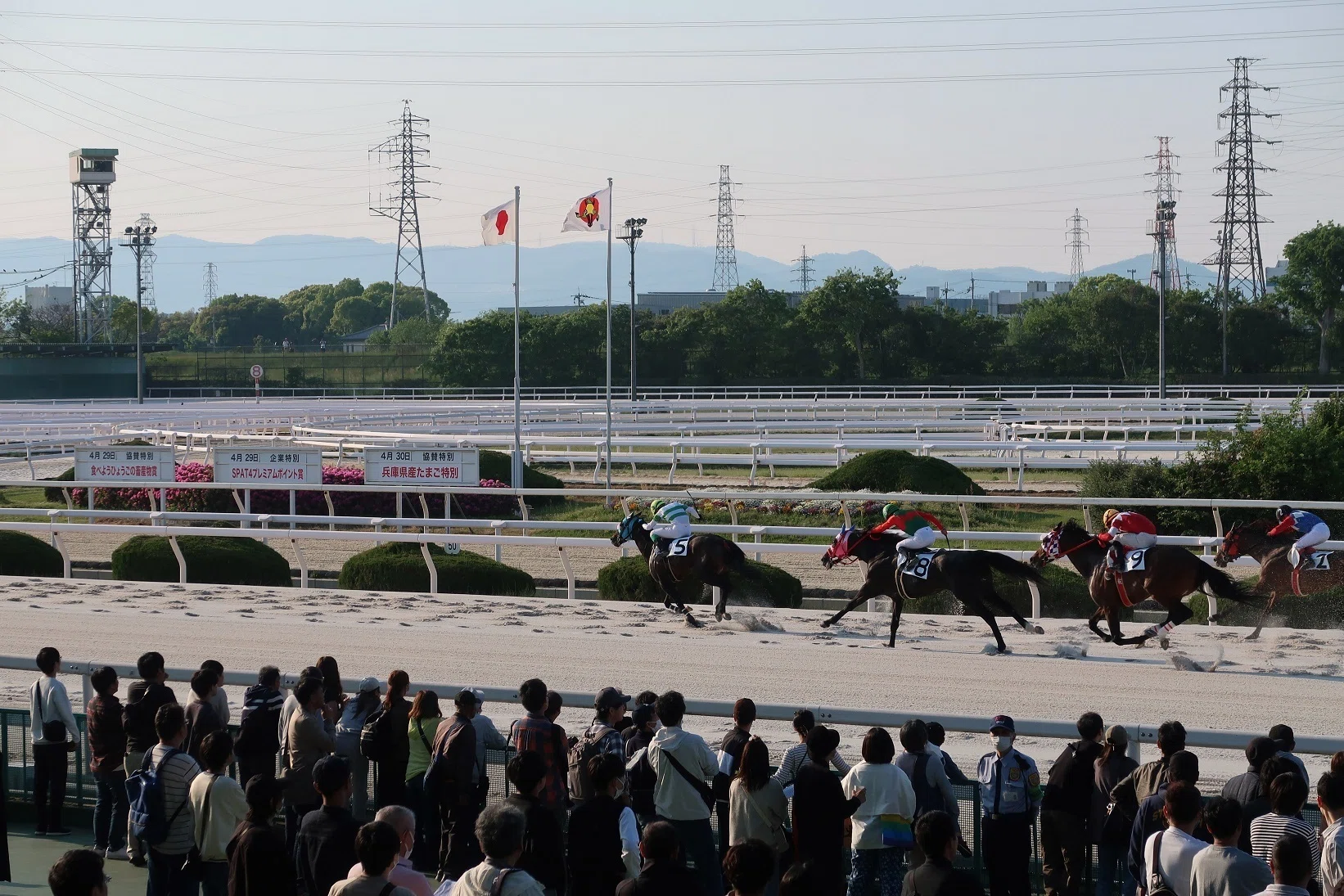 地方競馬行脚 #8 園田競馬場｜KenTaro