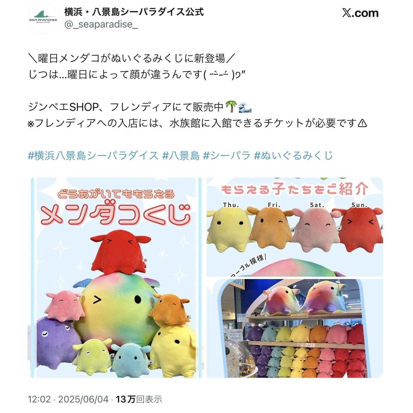 八景島シーパラダイス メンダコ ぬいぐるみくじ 【公式通販】