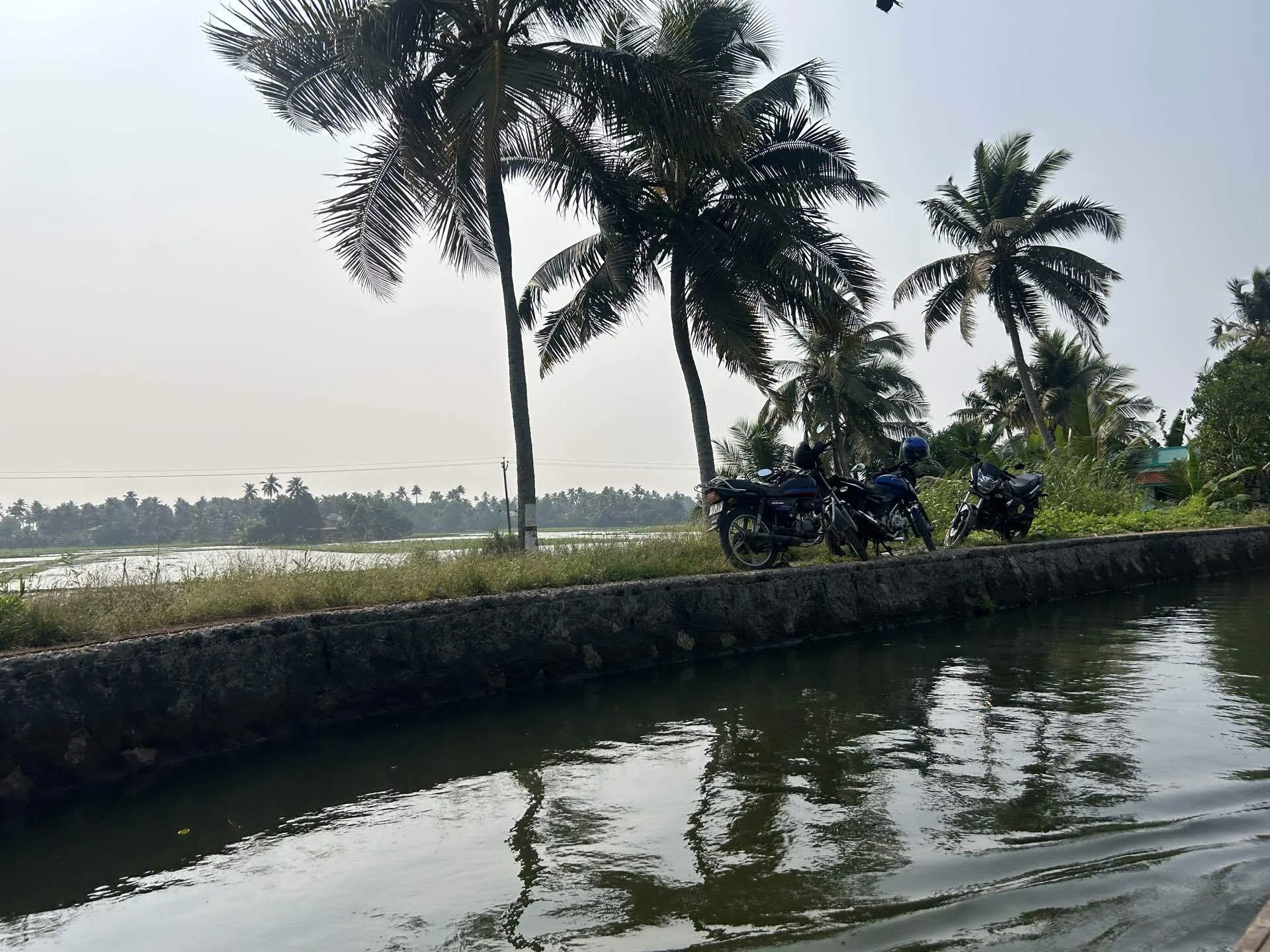 インド旅行記】ケララ〈ハウスボート編〉🛶🌴｜まる