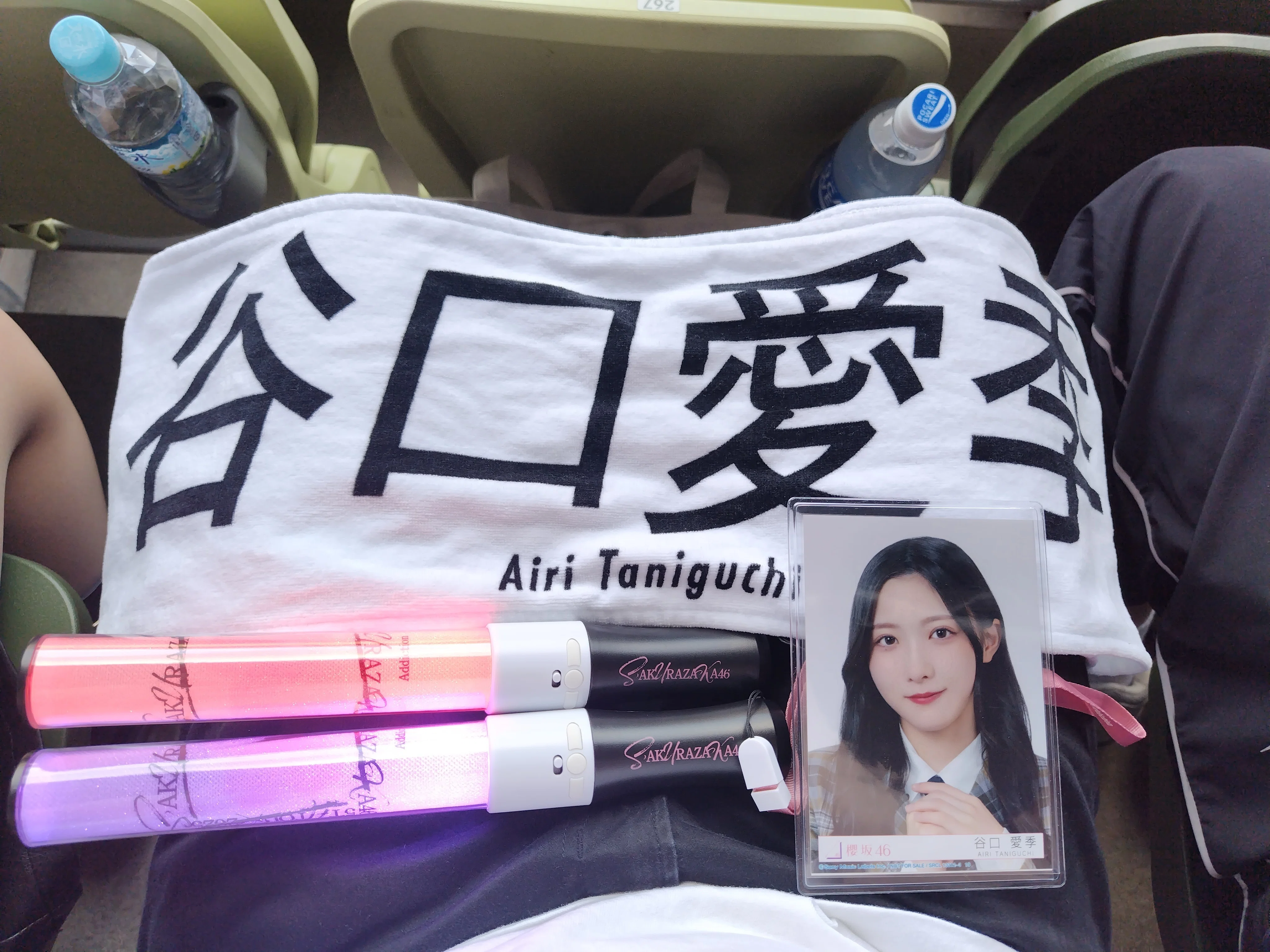 櫻坂46 5th YEAR ANNIVERSARY LIVE｜座椅子