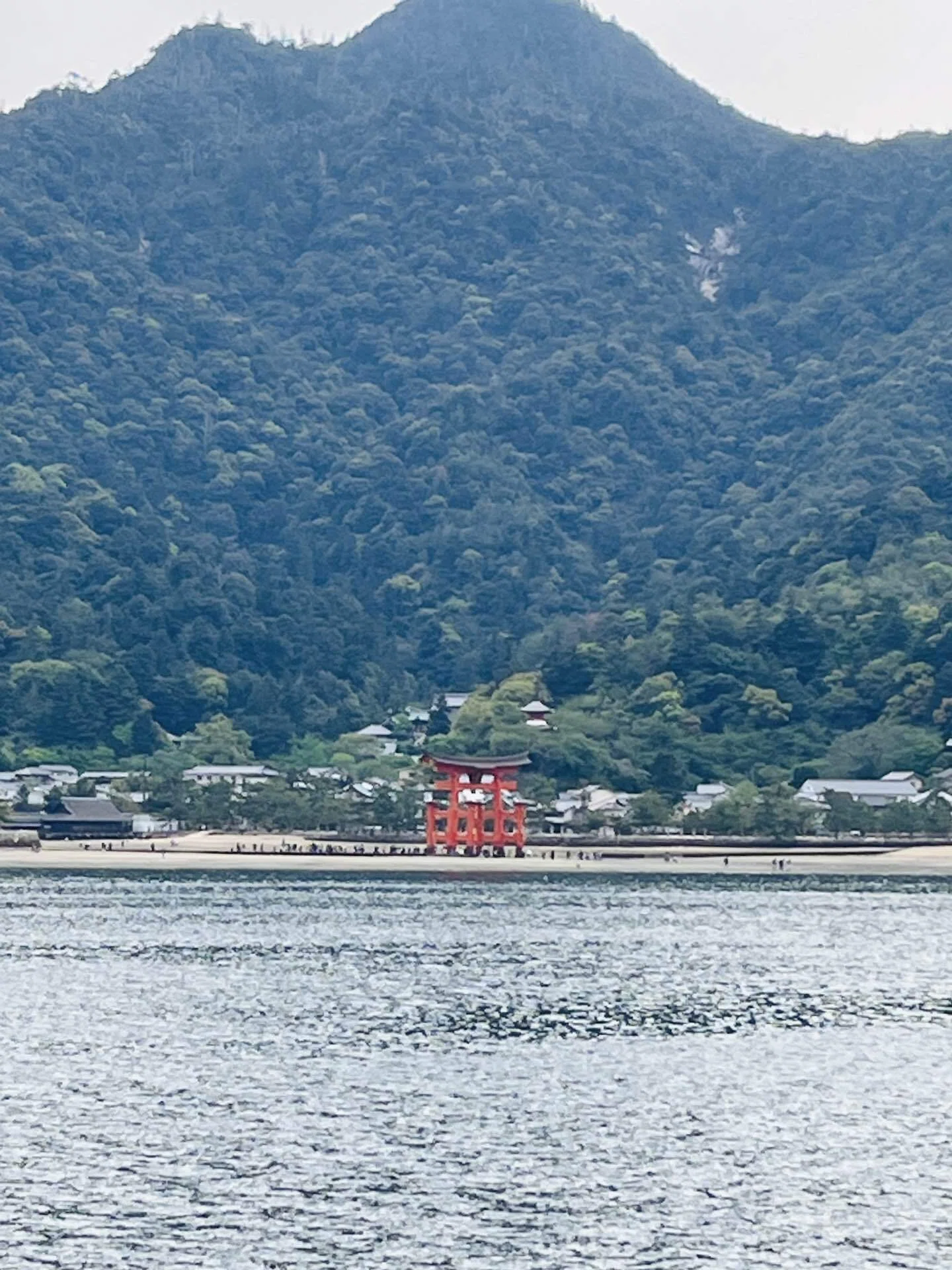 131 広島探訪記①〜宮島編〜｜すぬ