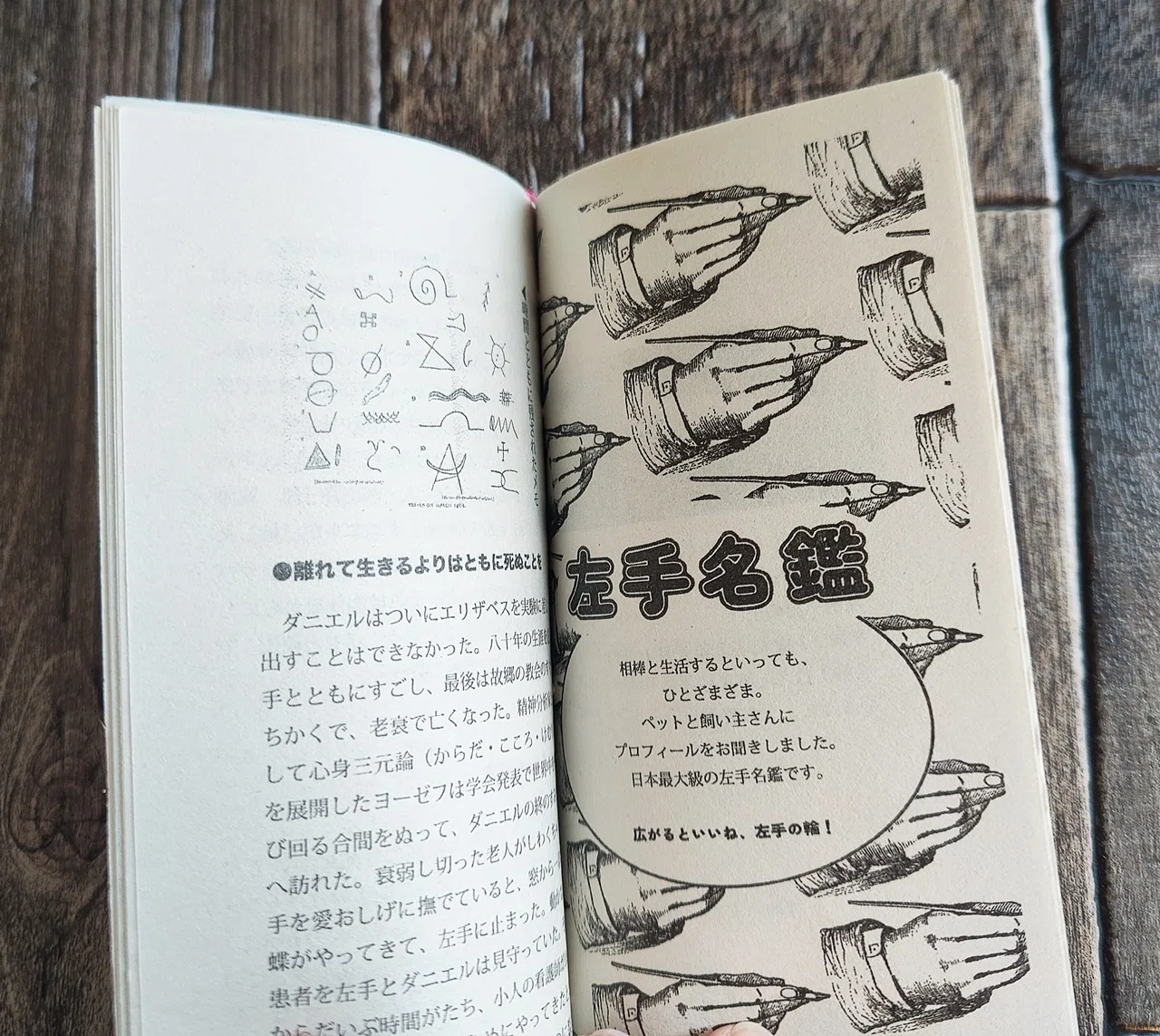 知育ZINEシリーズ① 左手の飼い方』宗沢香音｜読書感想文334｜Nuts