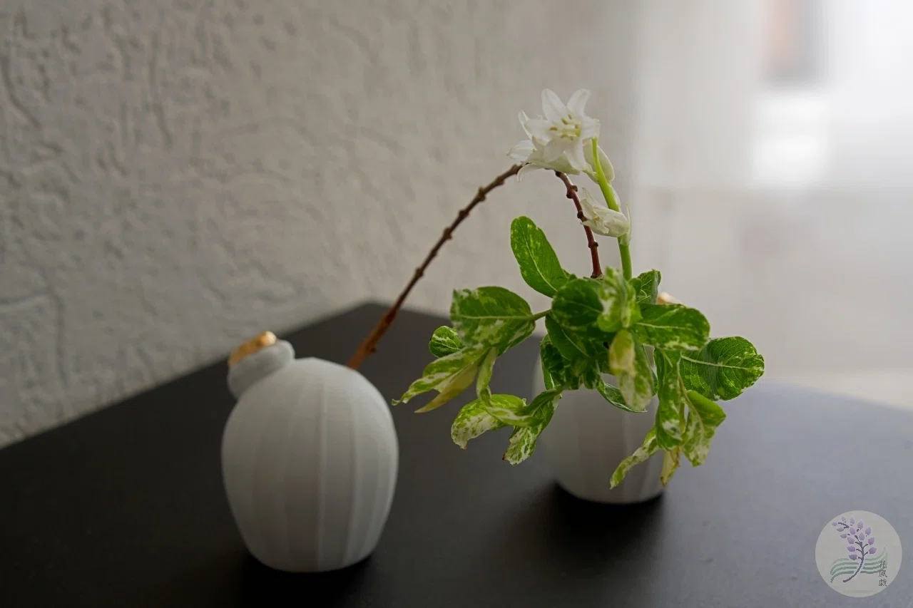 花瓶ペア 花は舞う＊緊張感の中で踊るペアの姿｜まり🌸花追い人