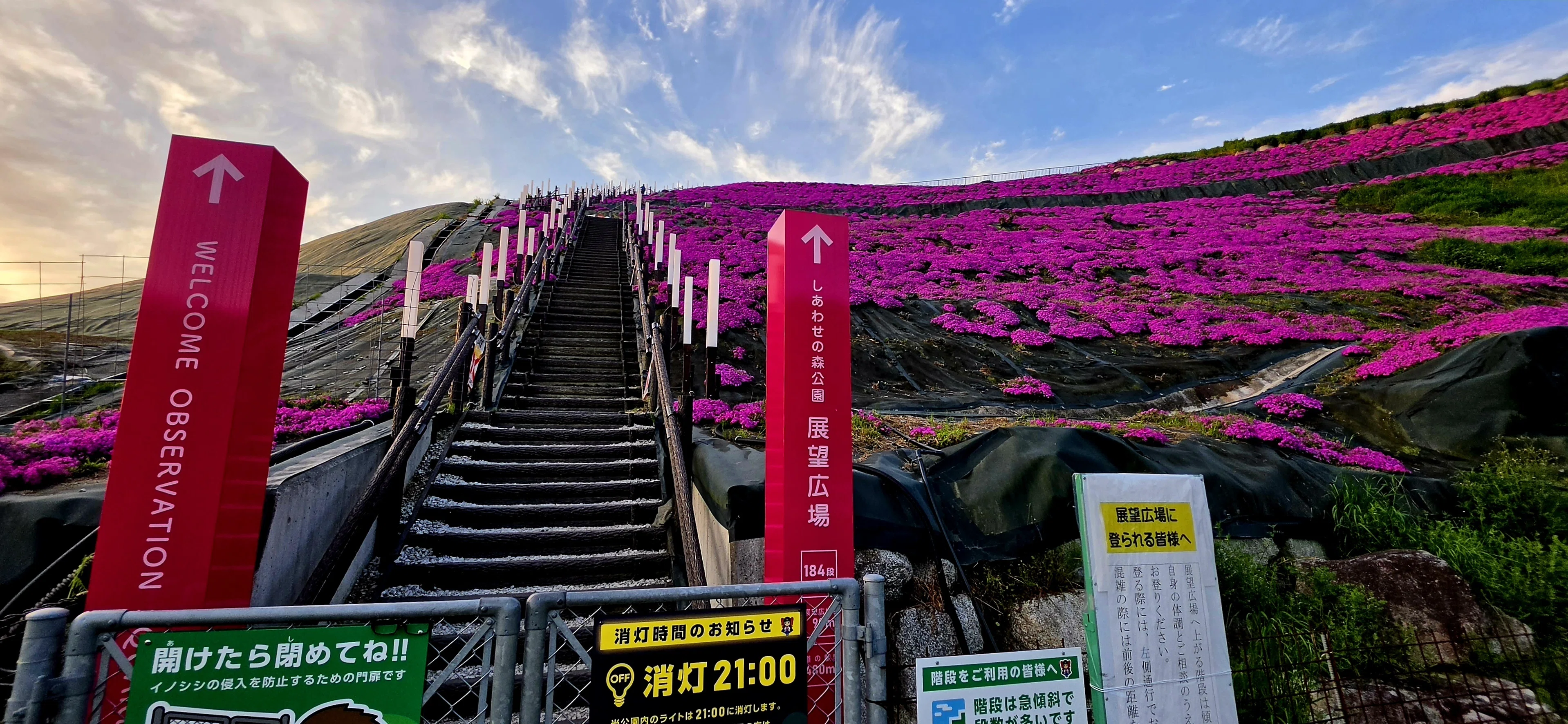 008【おむの旅日記】 4.17-4.18 夜を走って、春のごほうびを拾いにいっ