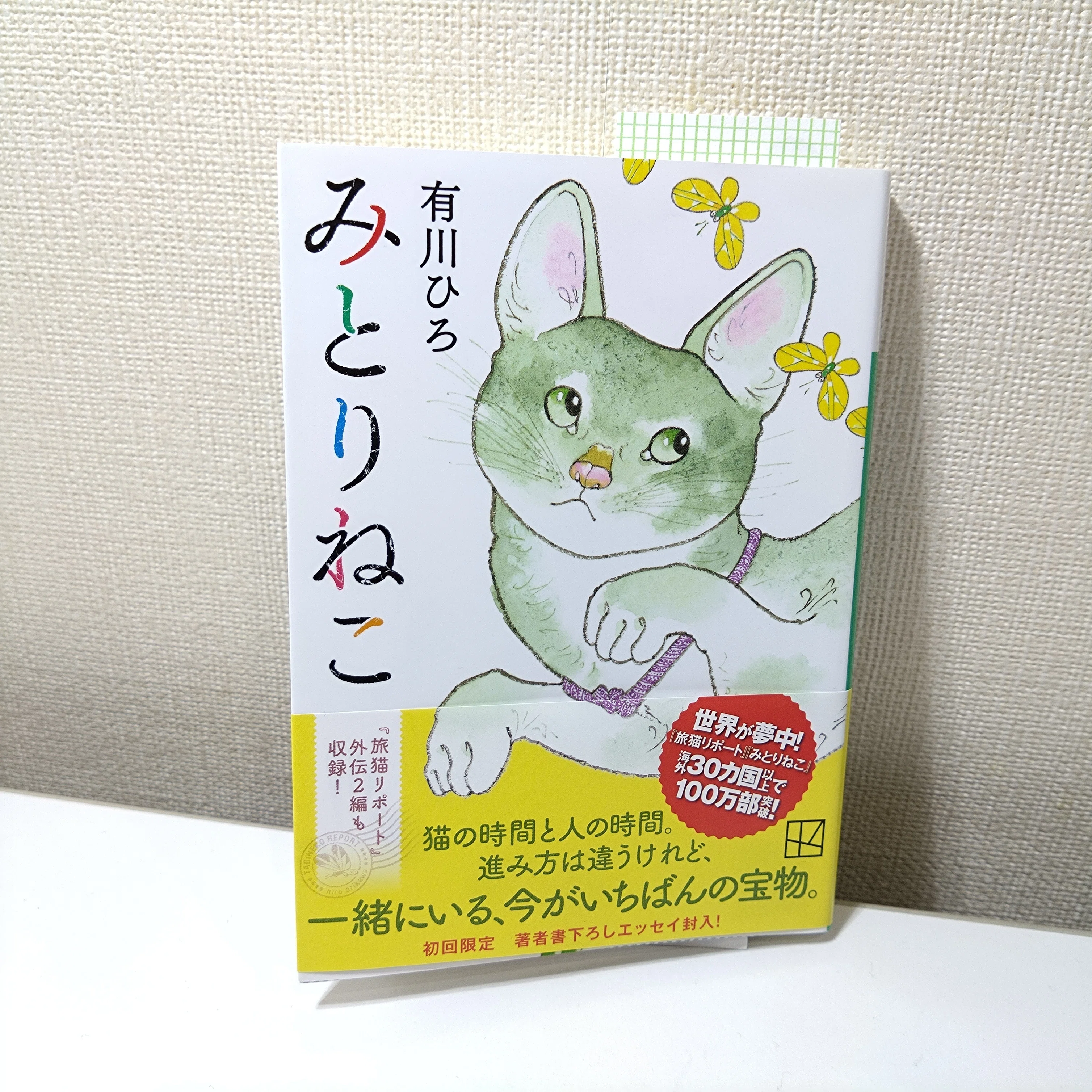 アラ還おじさんが顔面崩壊。「みとりねこ」を読んで鼻水を枯らした夜