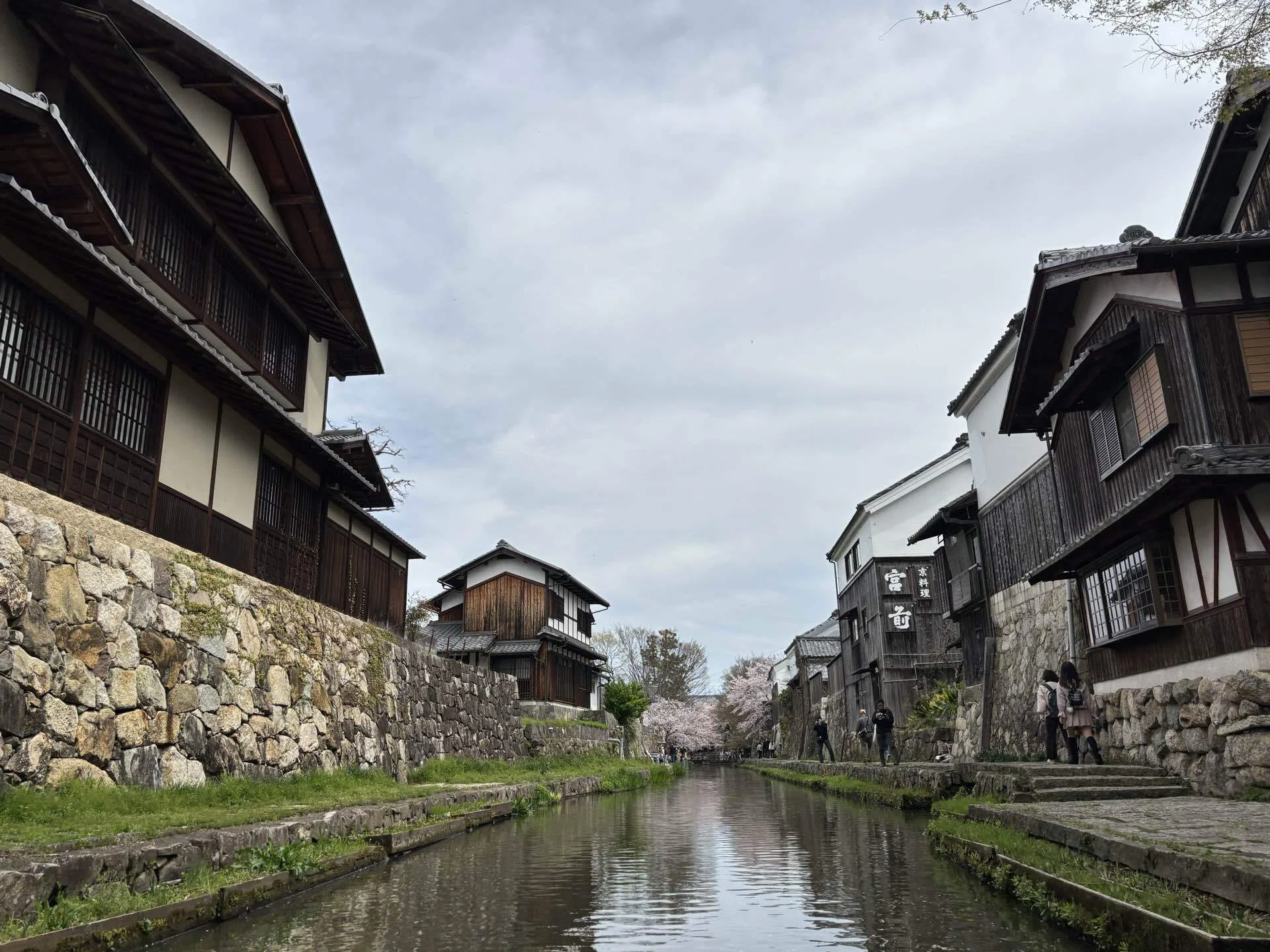春の近江八幡・水郷めぐりとレトロ建築｜みの❁