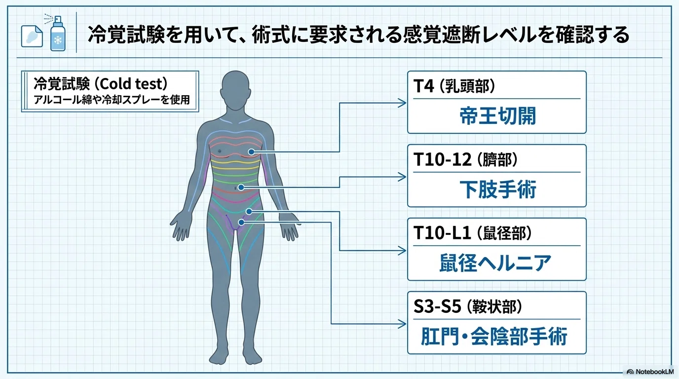 脊髄くも膜下麻酔とは何か：手順・薬剤・副作用を解説｜麻酔科M