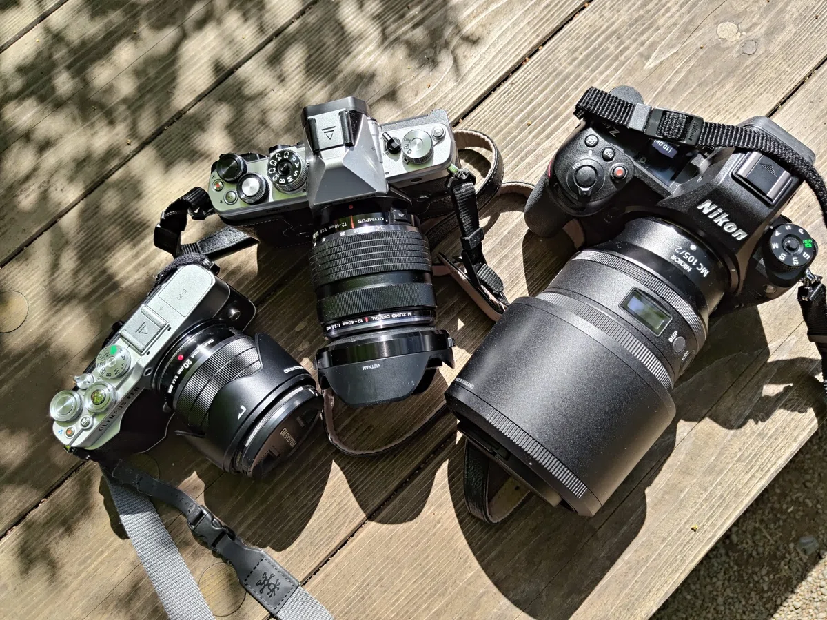つつじの季節になったので写真撮ってきました【E-P7/OM-3/Z6III】｜平