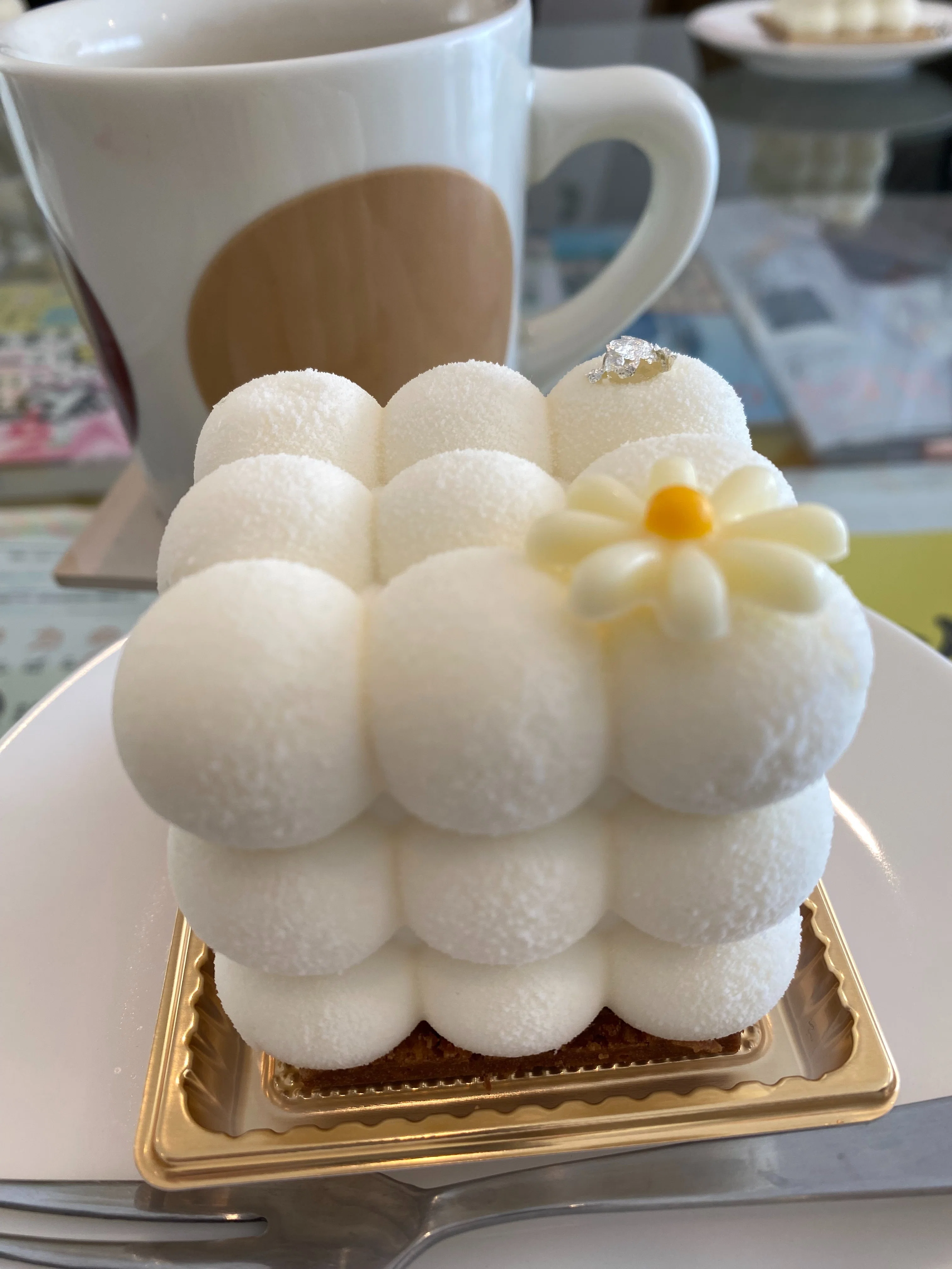 これからどうする！？どんぐりかめん｜放送作家オフィス✏️ベイビー