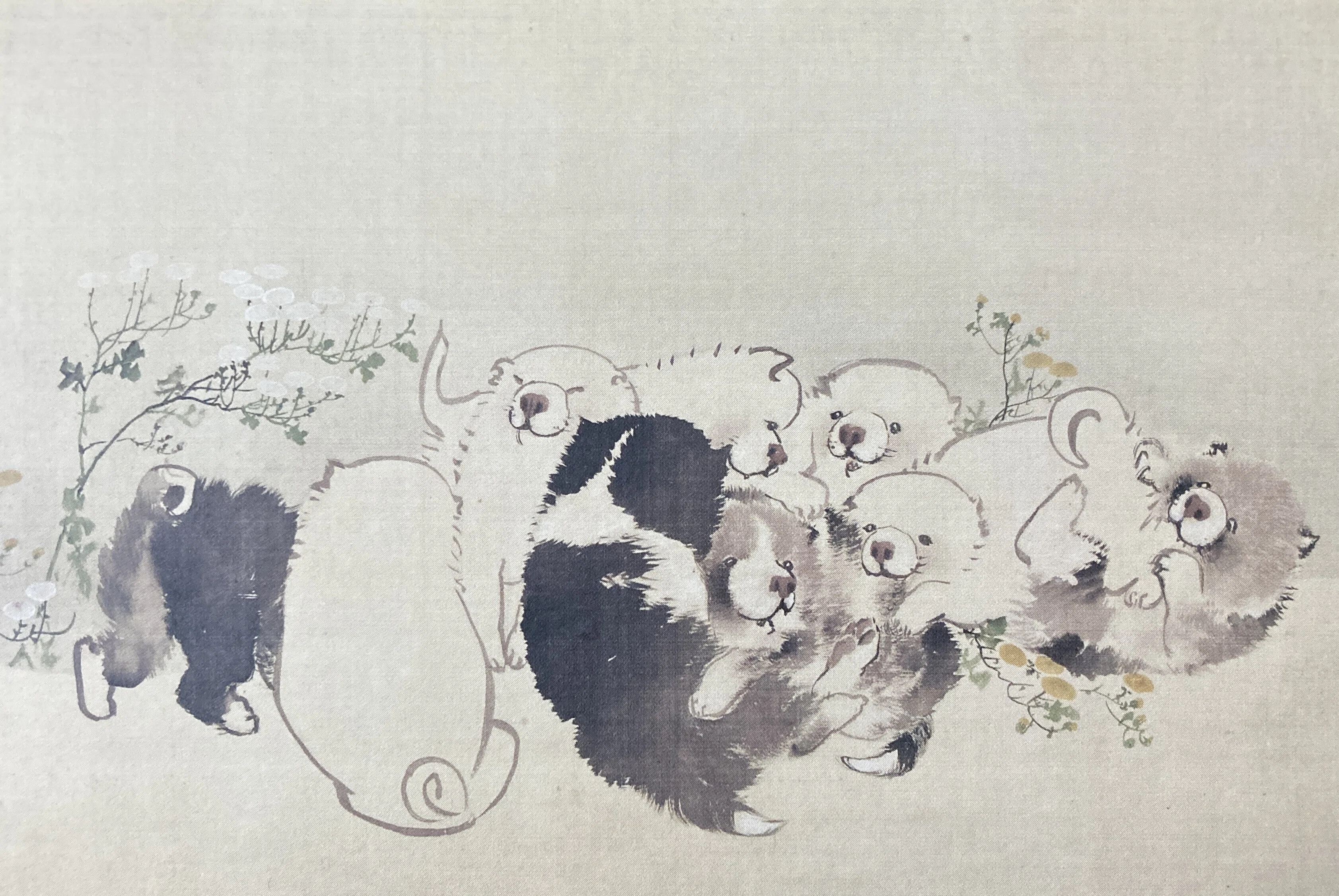 ラフだからいとおしい 「春の江戸絵画まつり 長沢盧雪」展 府中市