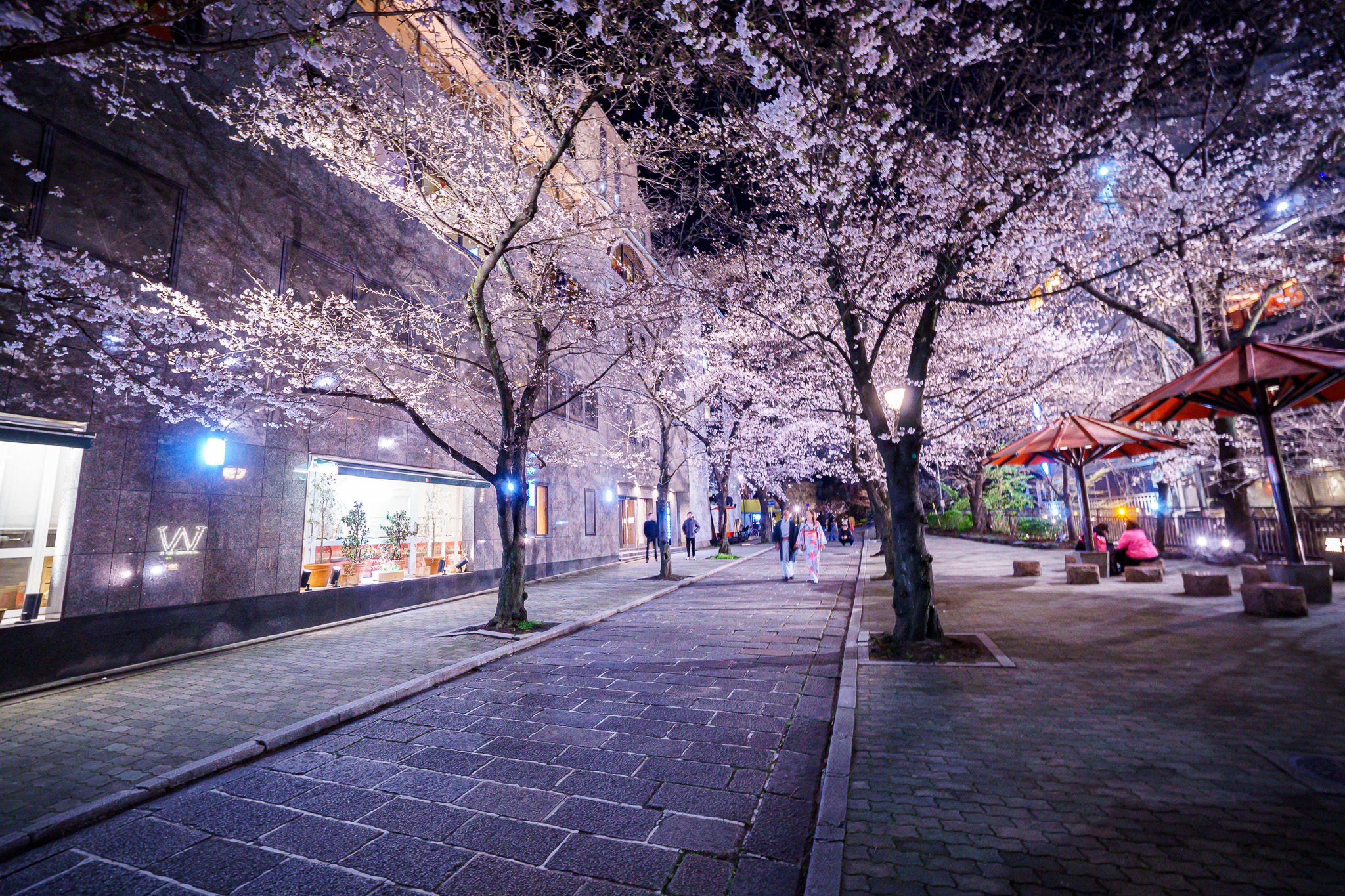 祇園界隈夜桜散歩(26.3.26)｜京都散歩記録