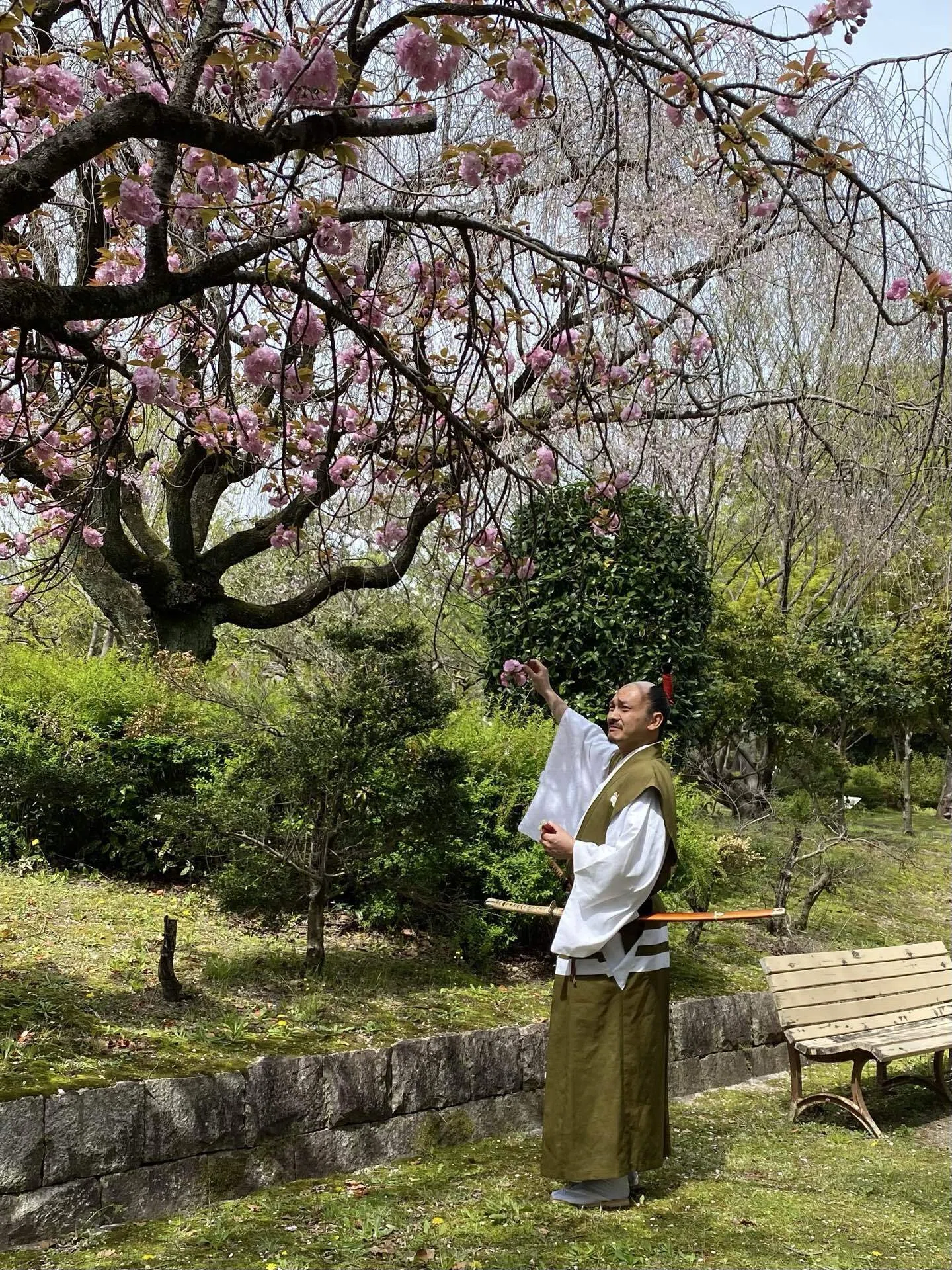 写真館1298】八重桜、咲く｜えりた