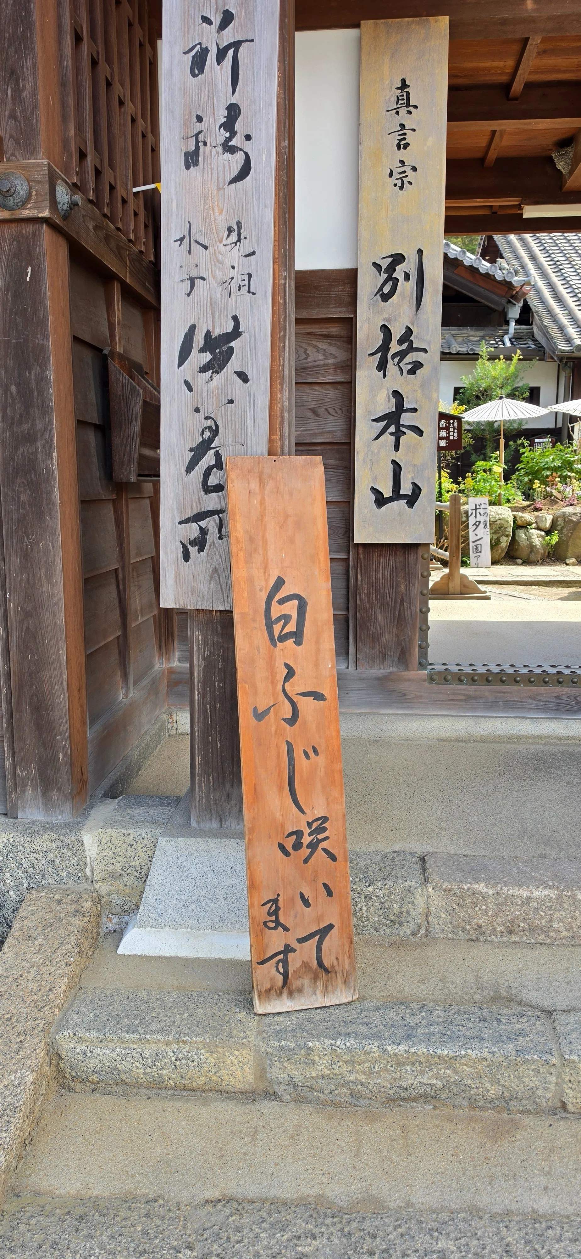 008【おむの旅日記】 4.17-4.18 夜を走って、春のごほうびを拾いにいっ