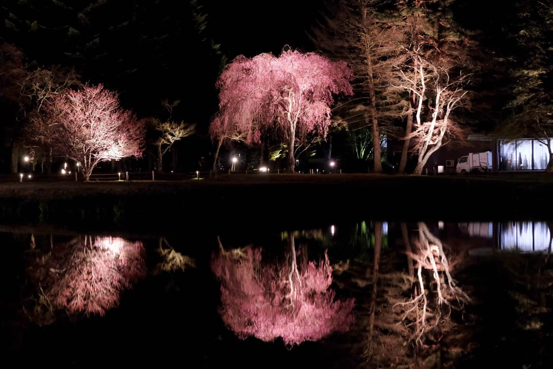 軽井沢の夜桜｜nkym935