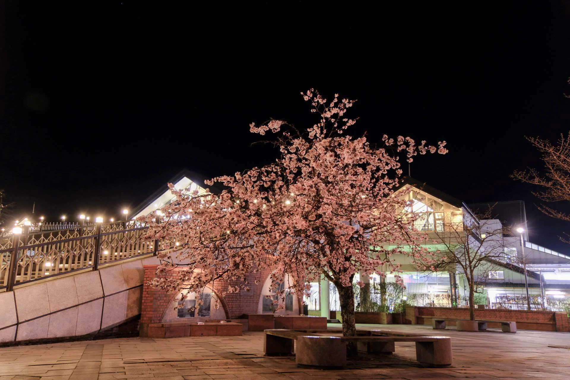 軽井沢の夜桜｜nkym935